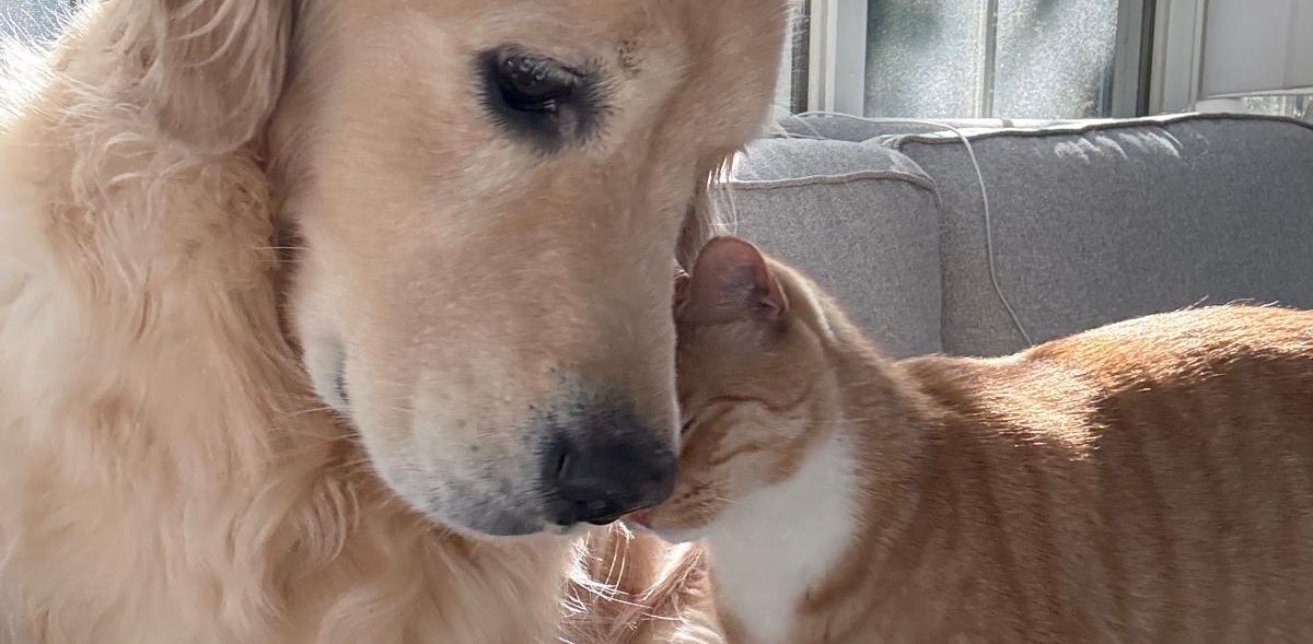 challenge background