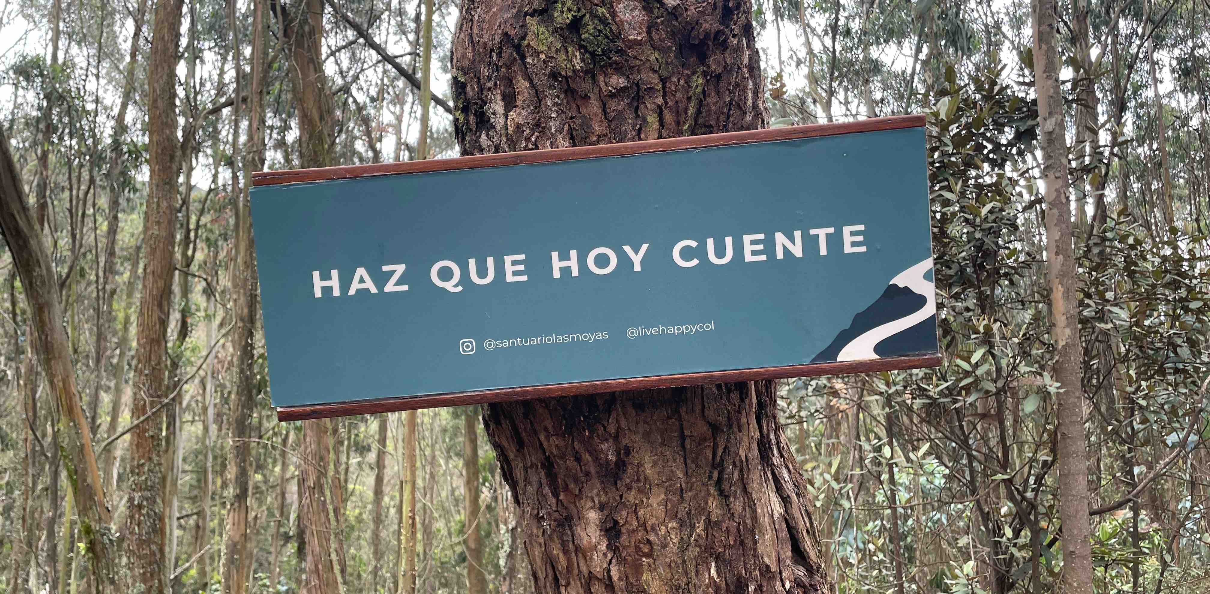 challenge background