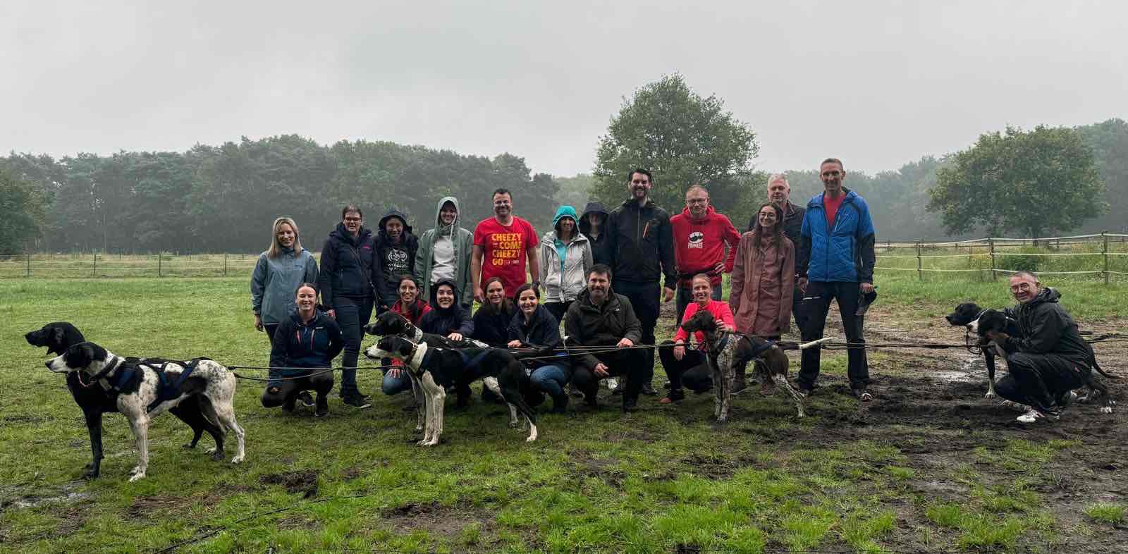 challenge background