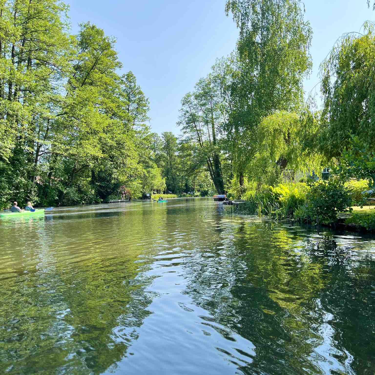 Gaylinhaa 🇲🇦🇩🇪 logo