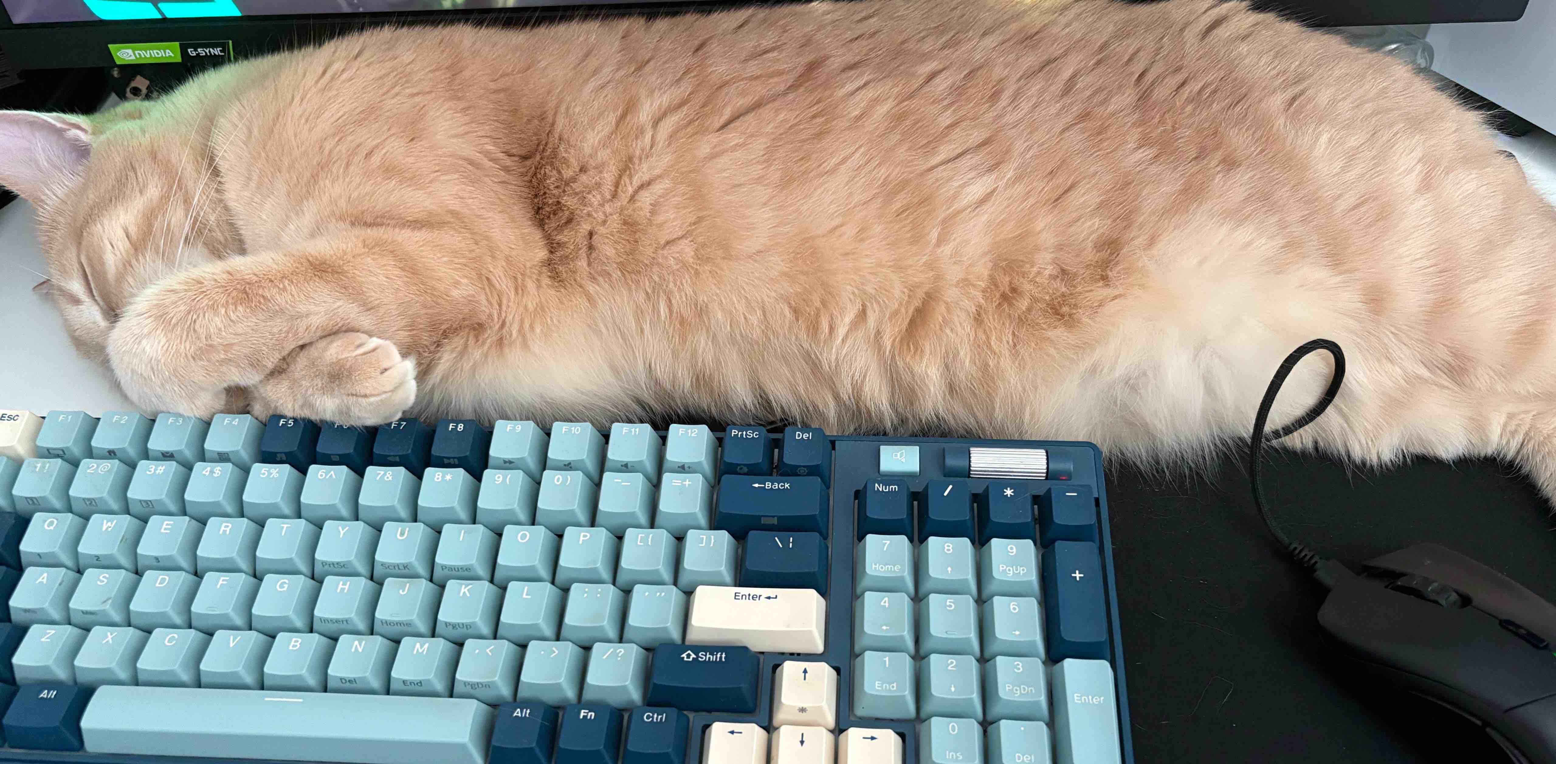 challenge background