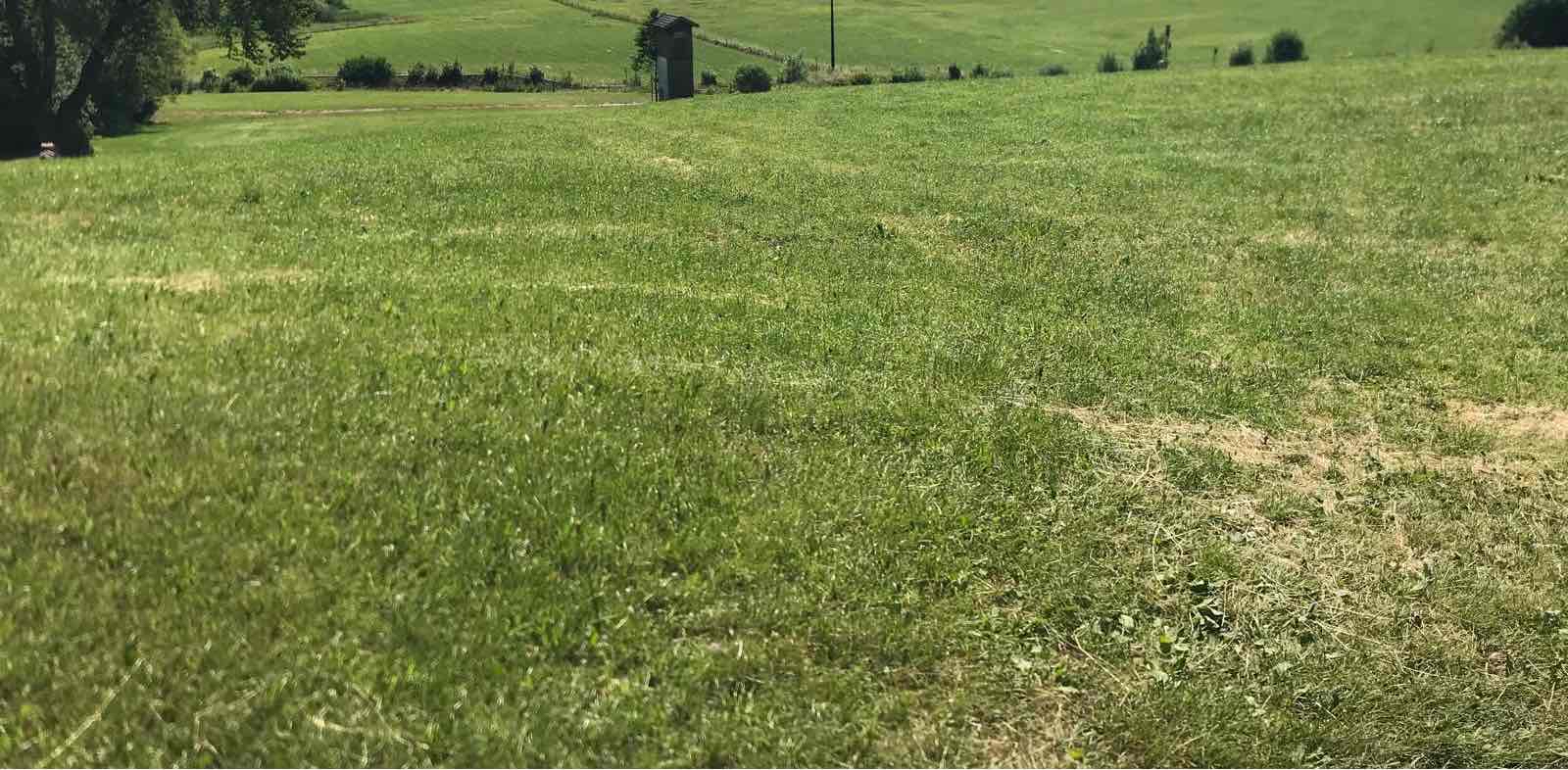 challenge background