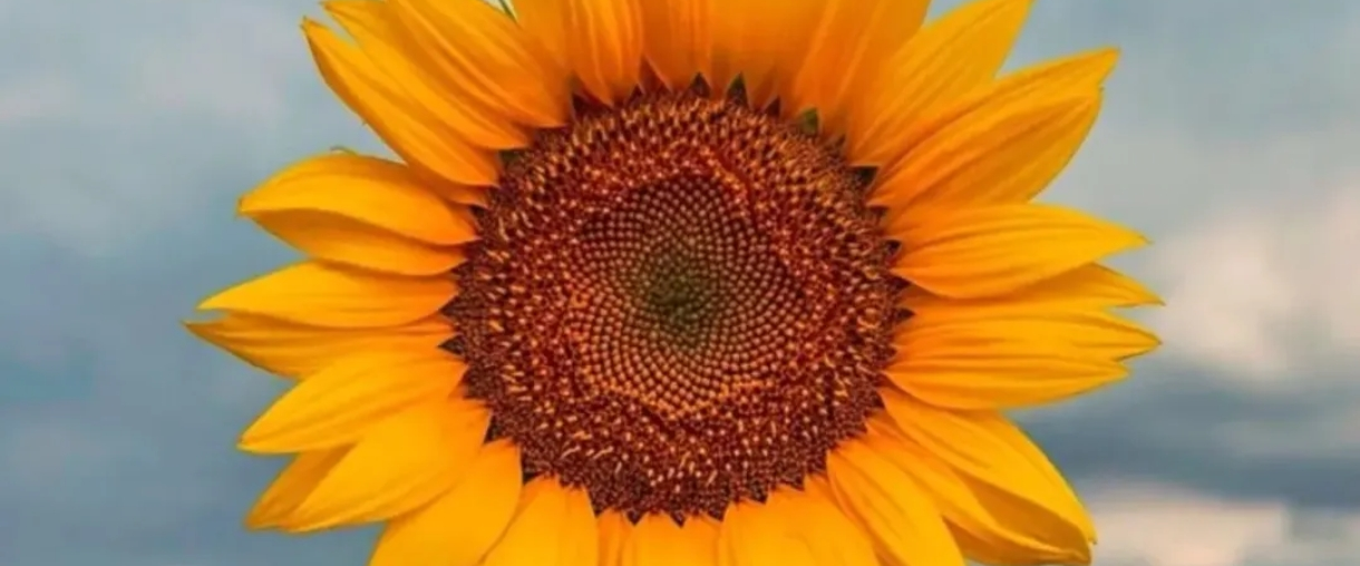 challenge background