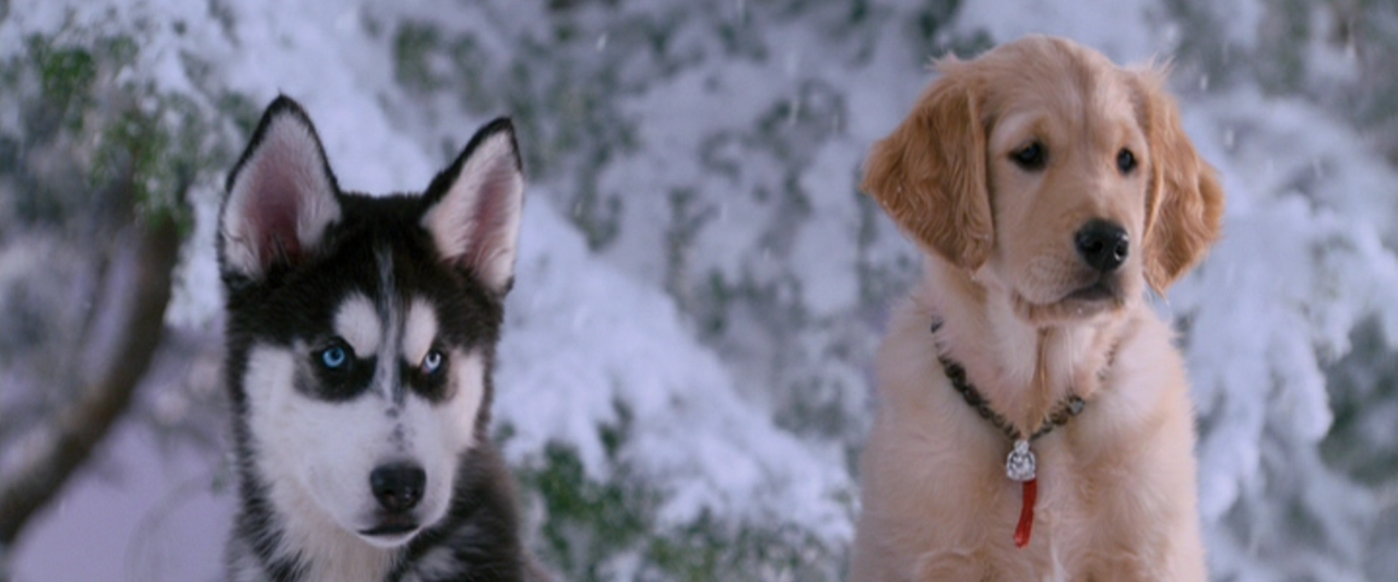 challenge background