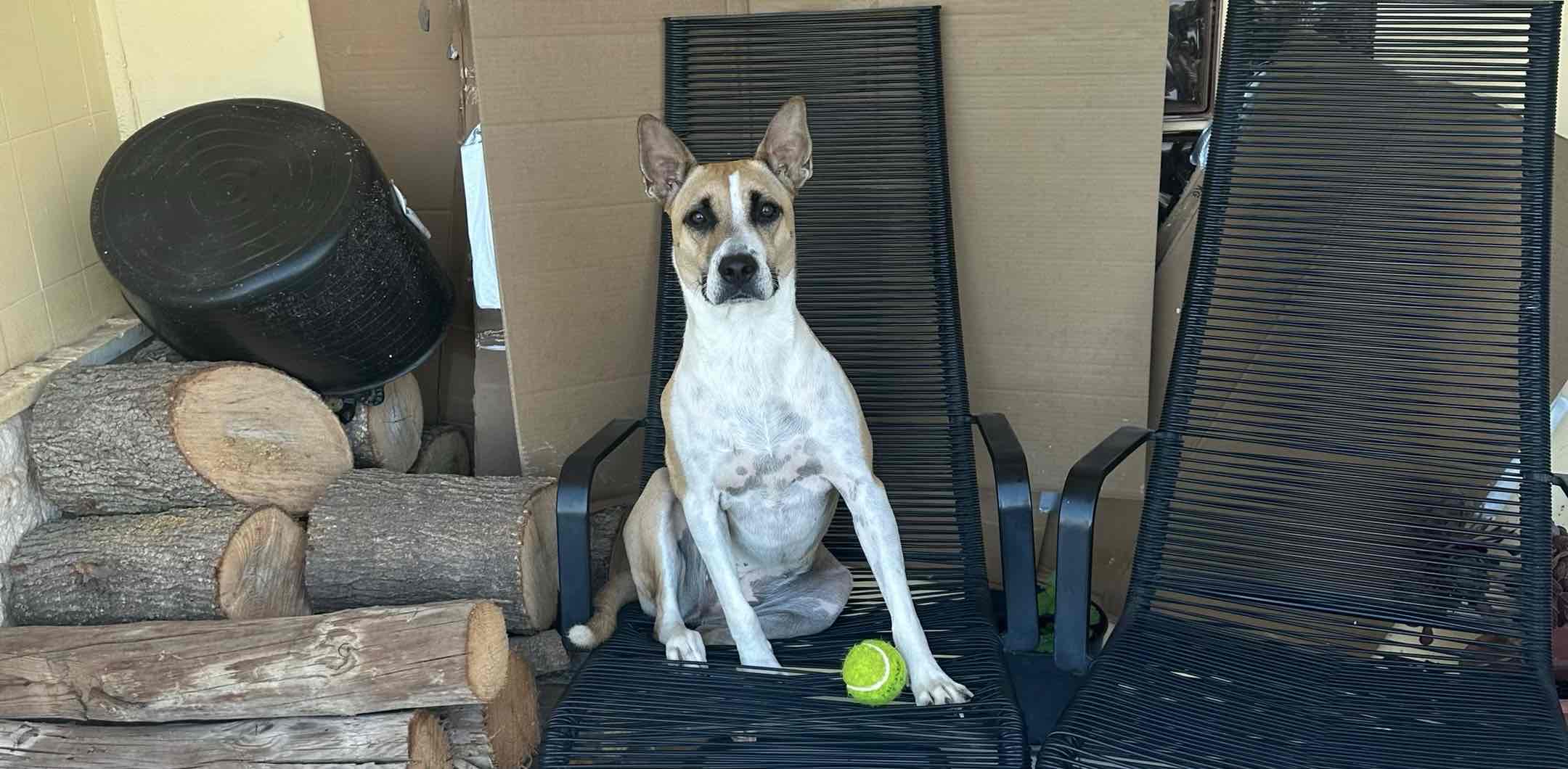 challenge background