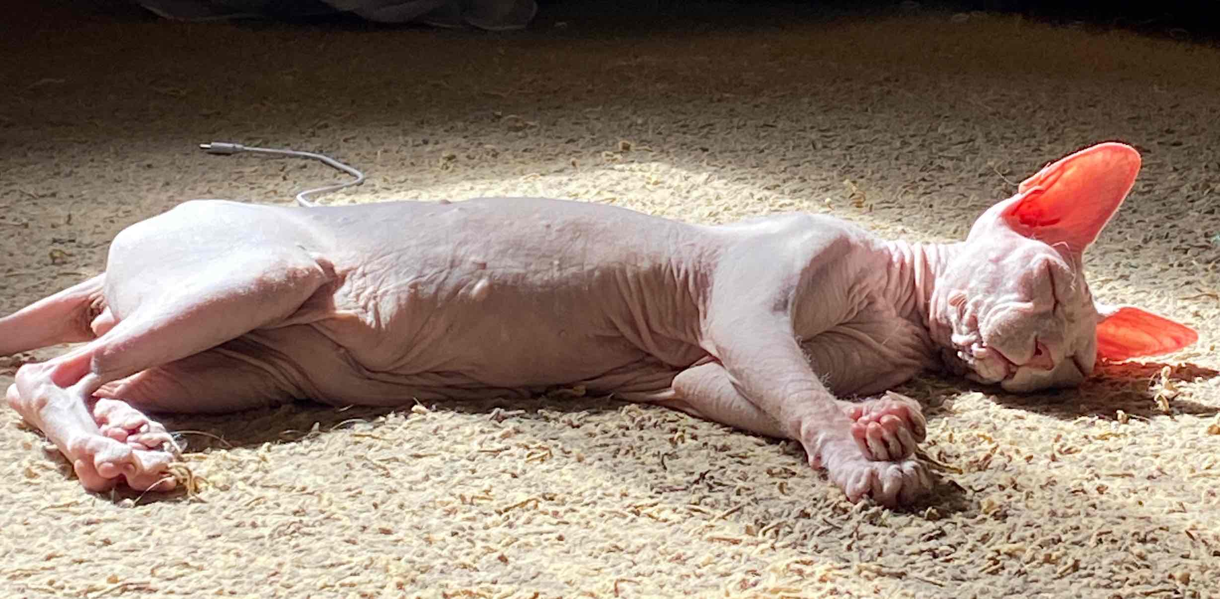 challenge background