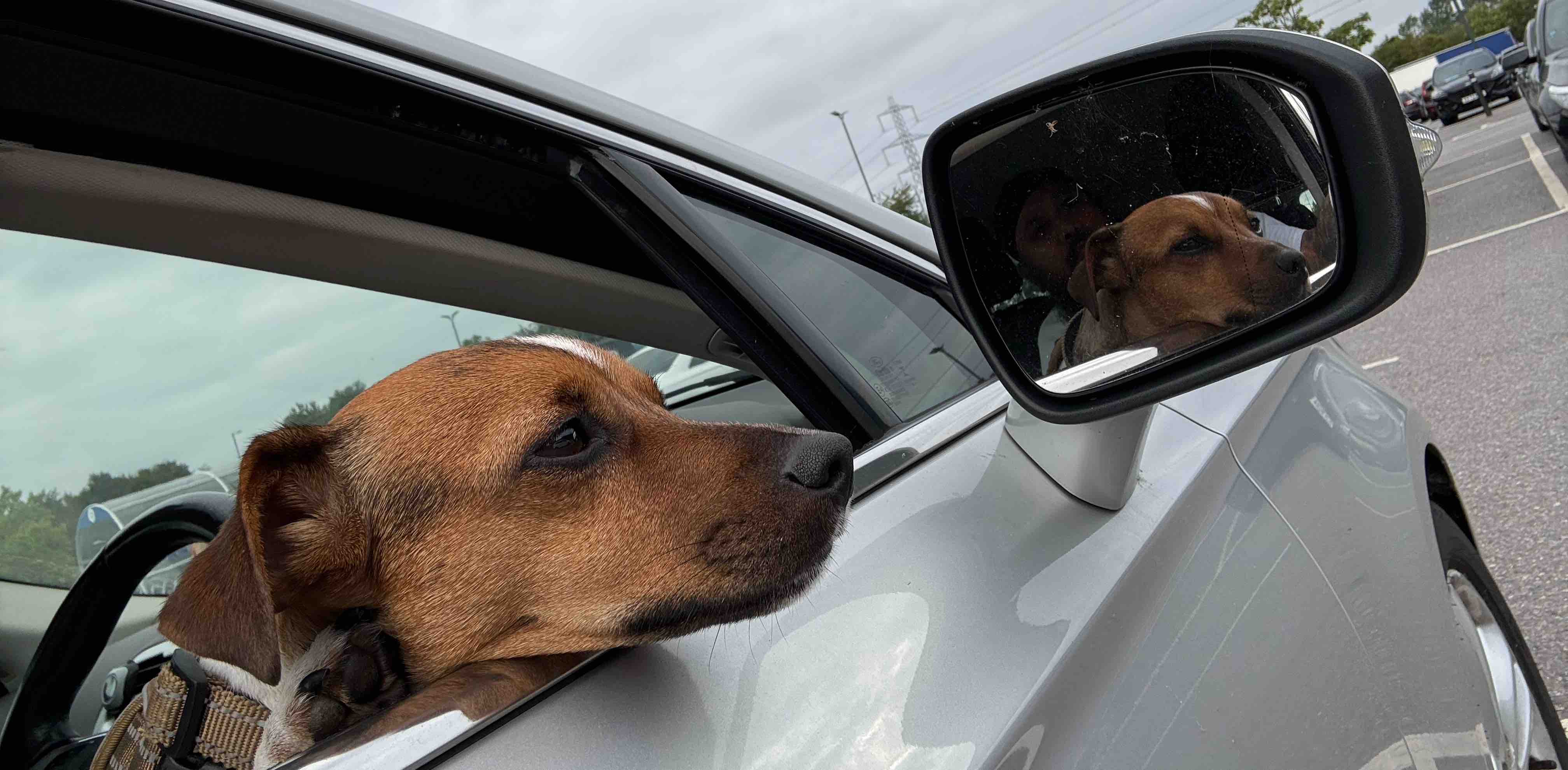 challenge background