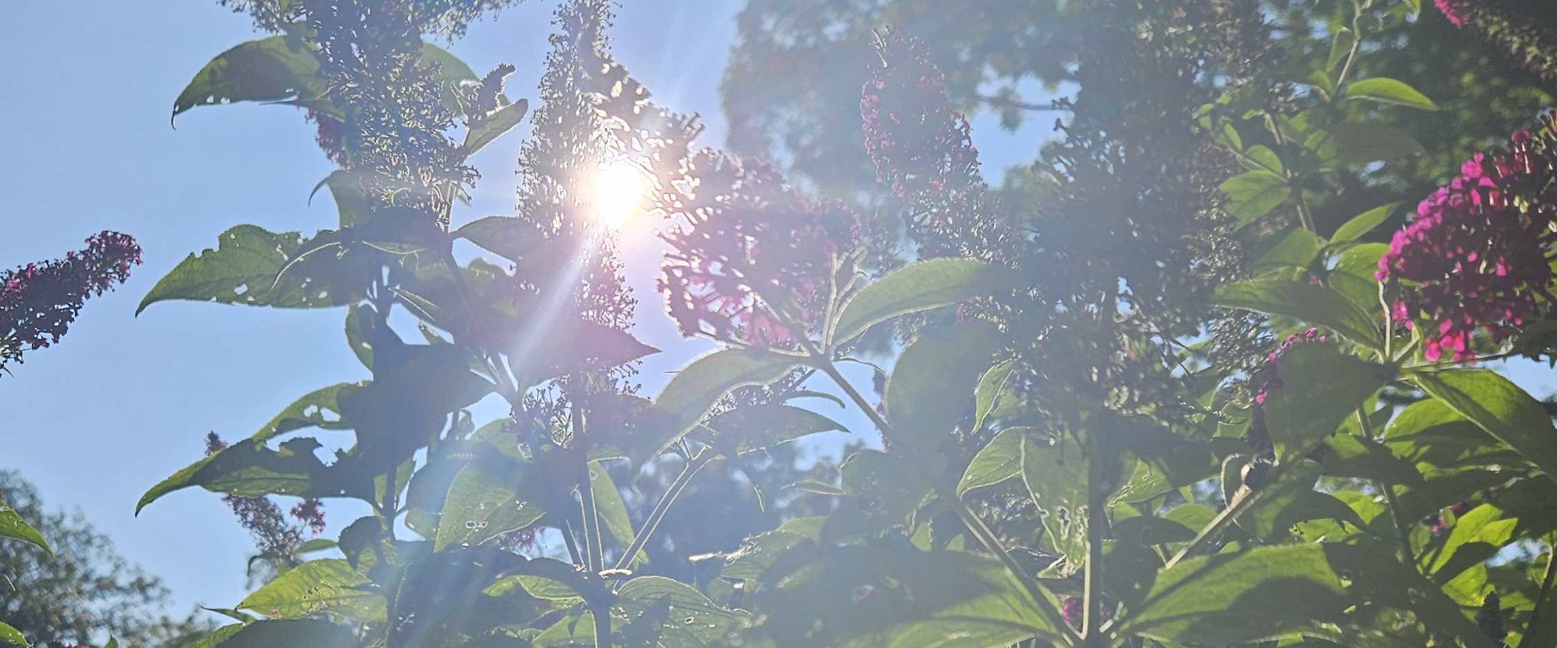 challenge background