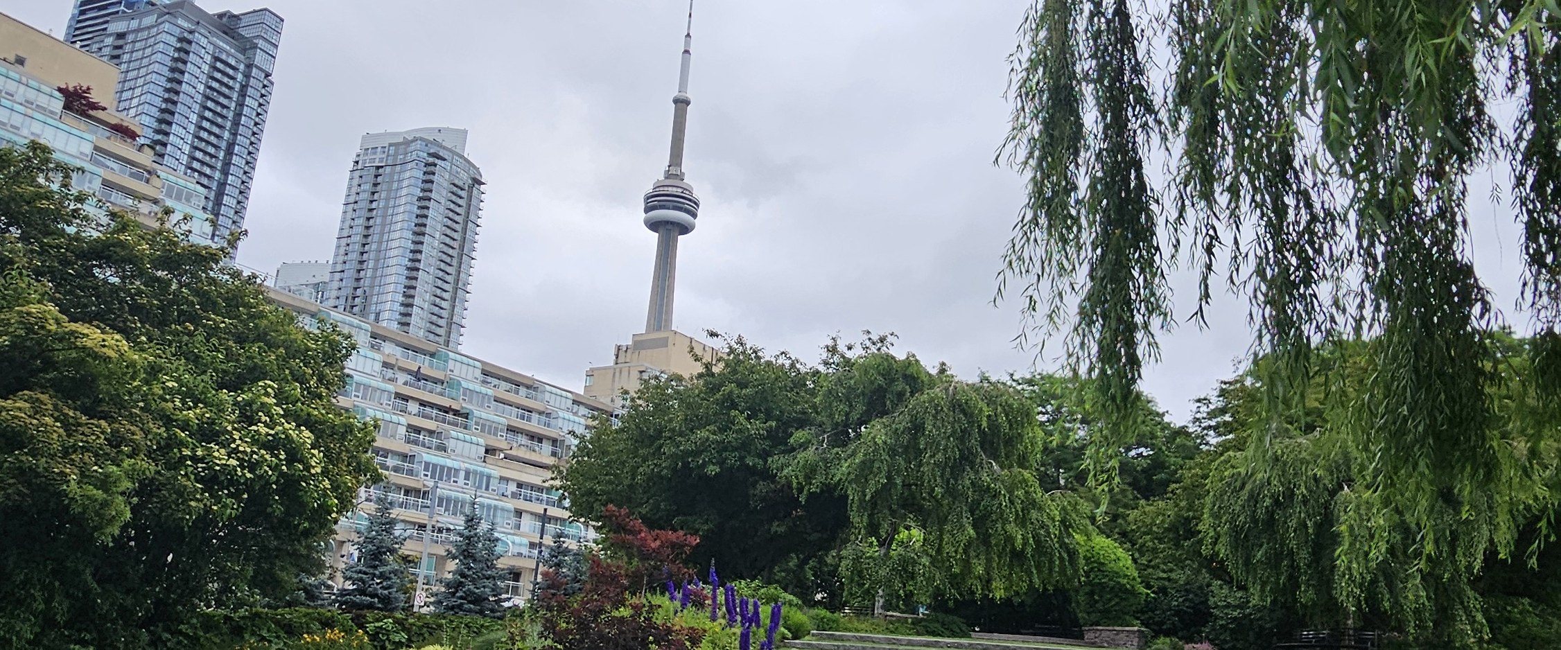 challenge background