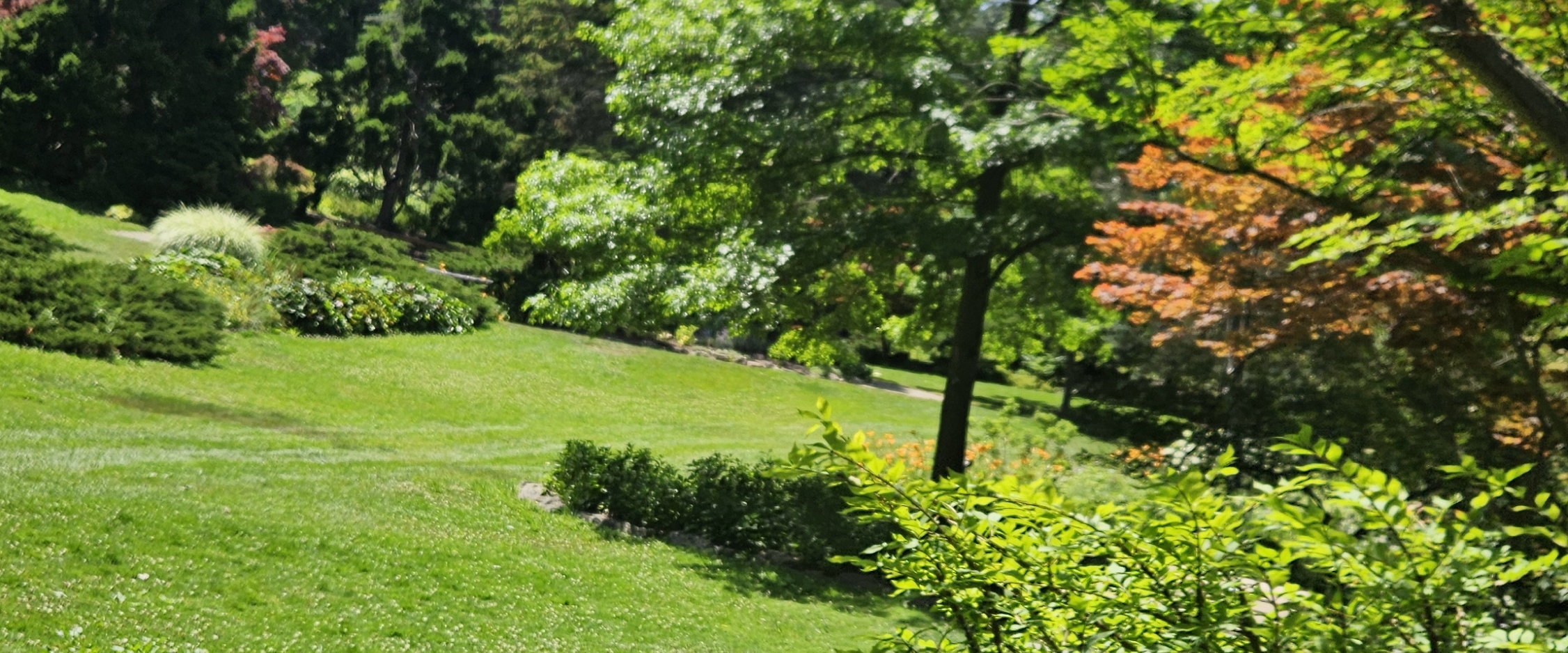 challenge background