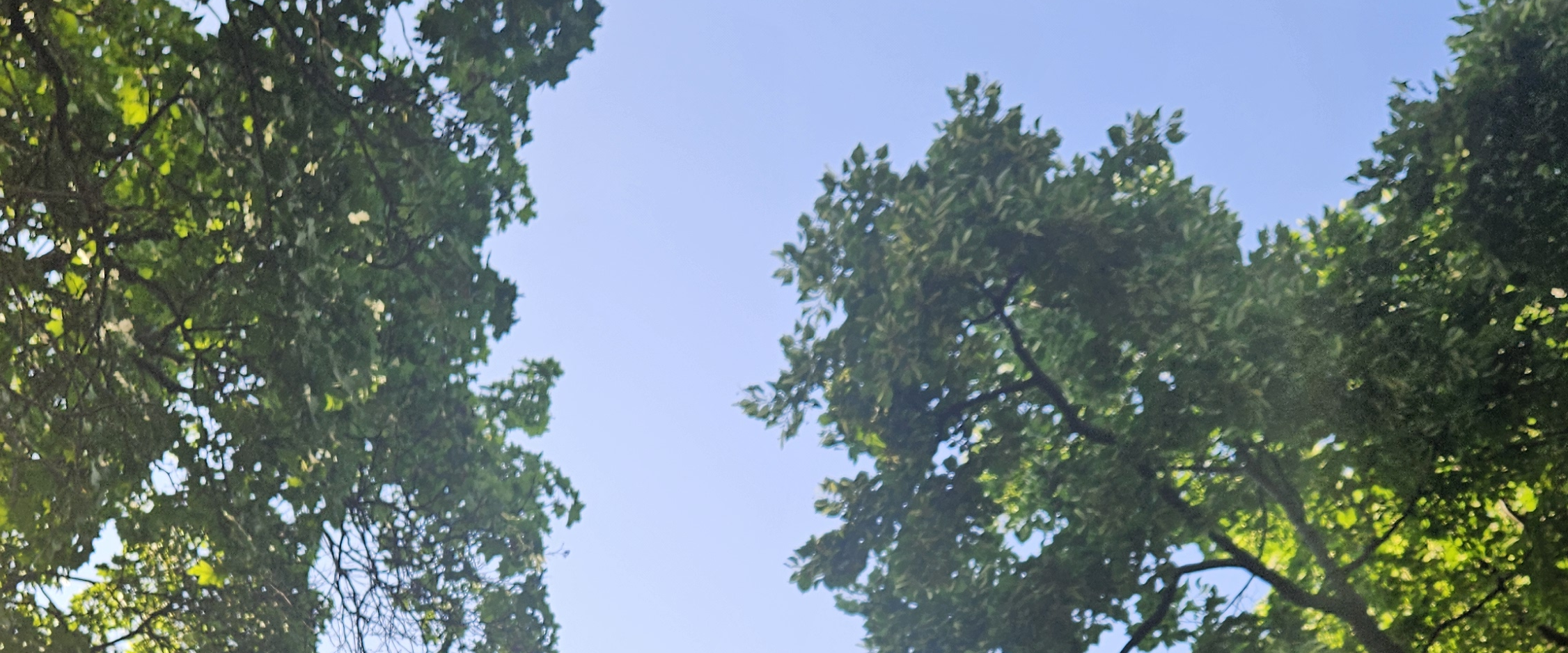 challenge background