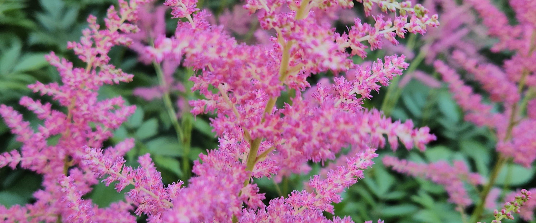 challenge background