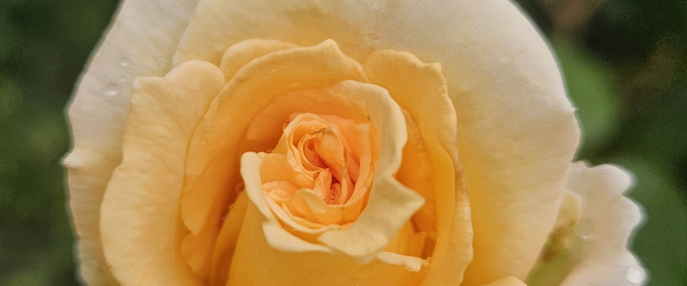 challenge background