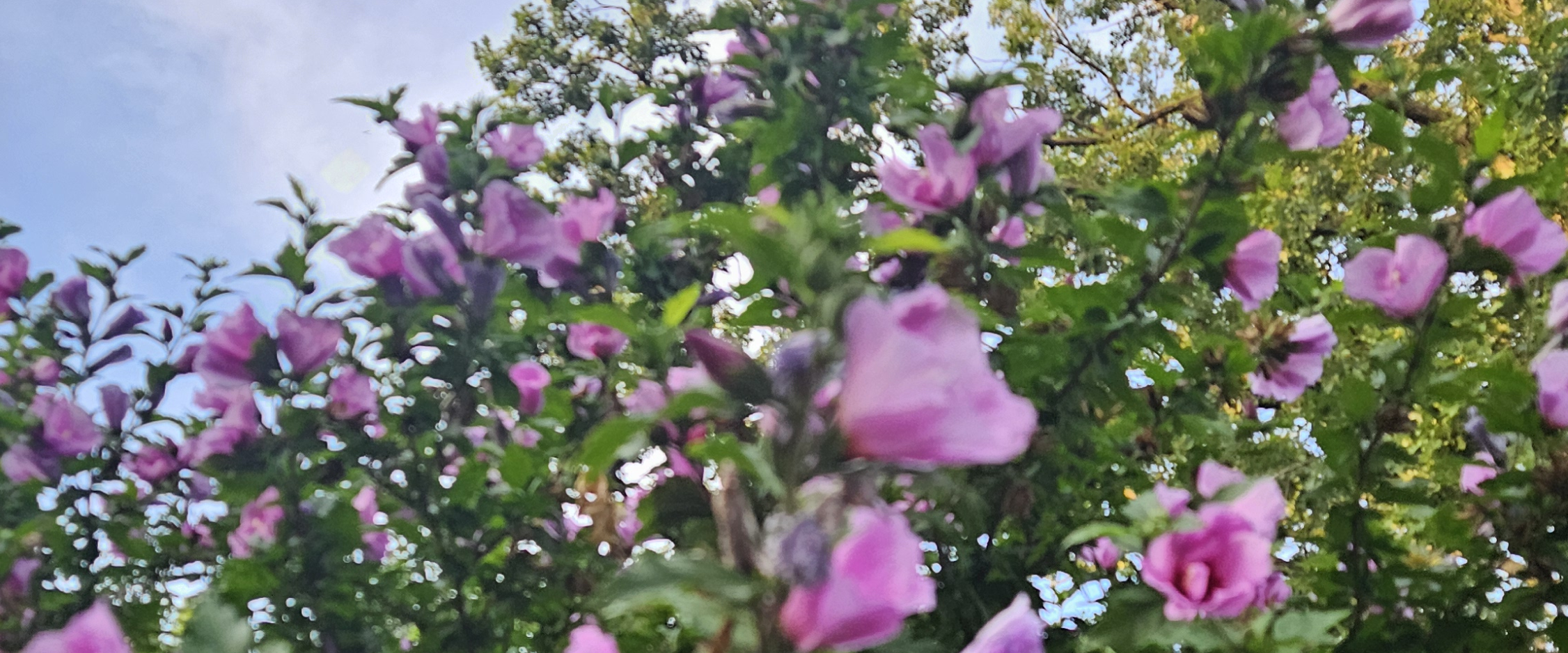 challenge background