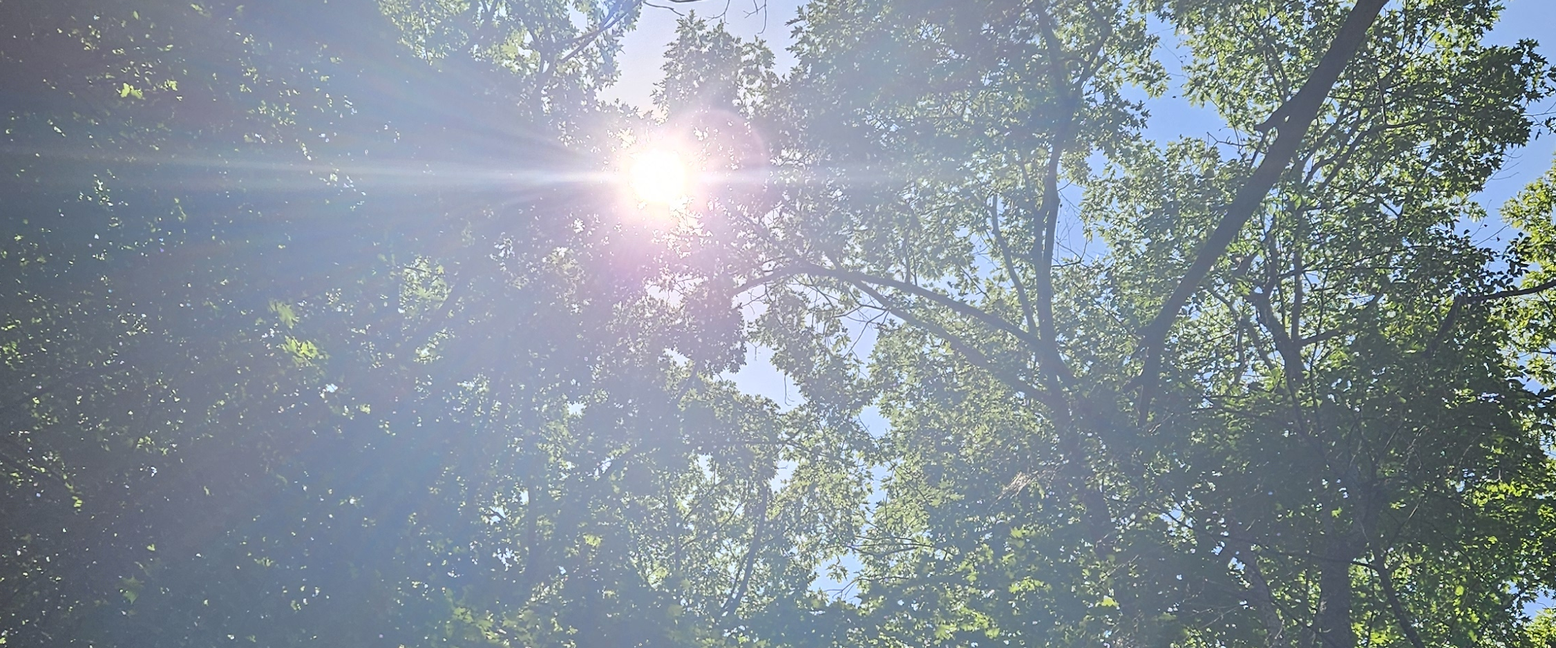 challenge background