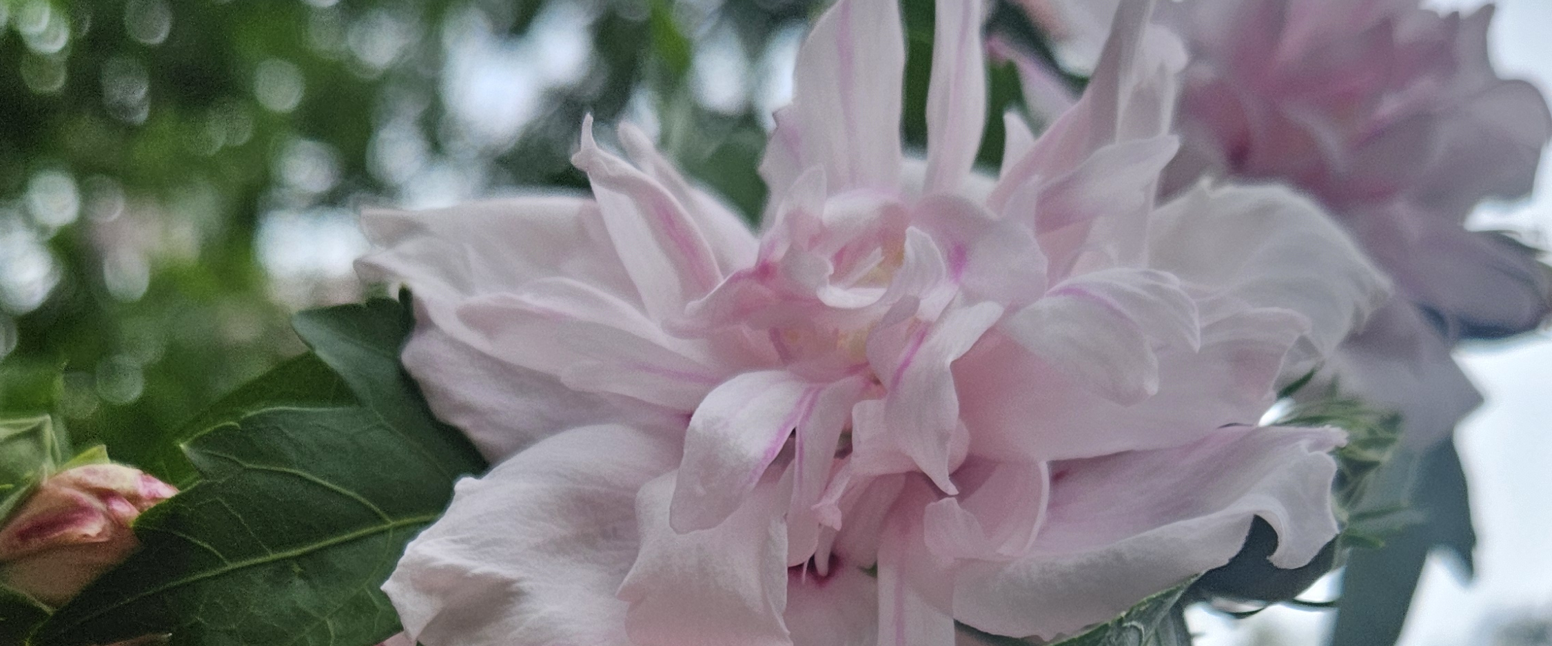 challenge background