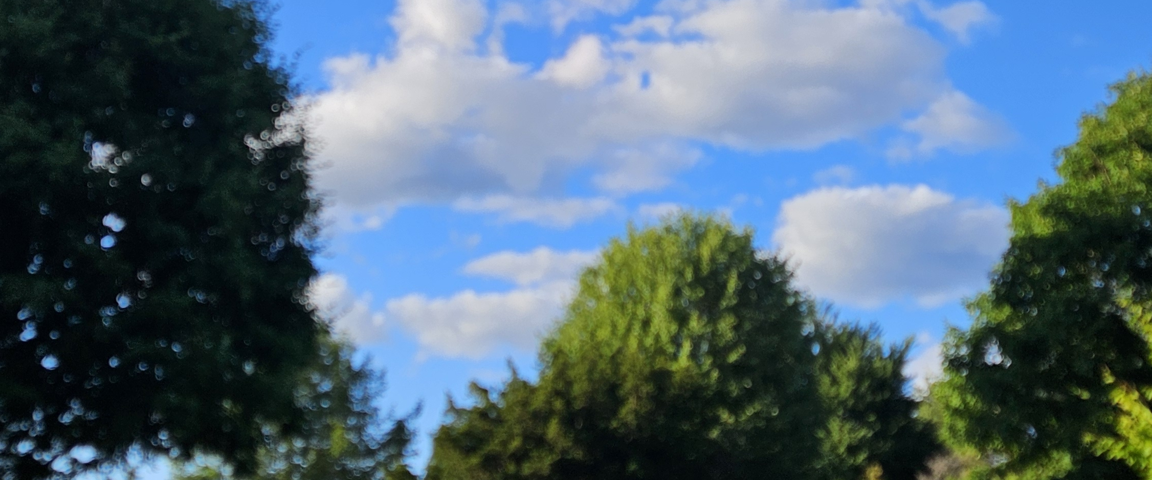 challenge background