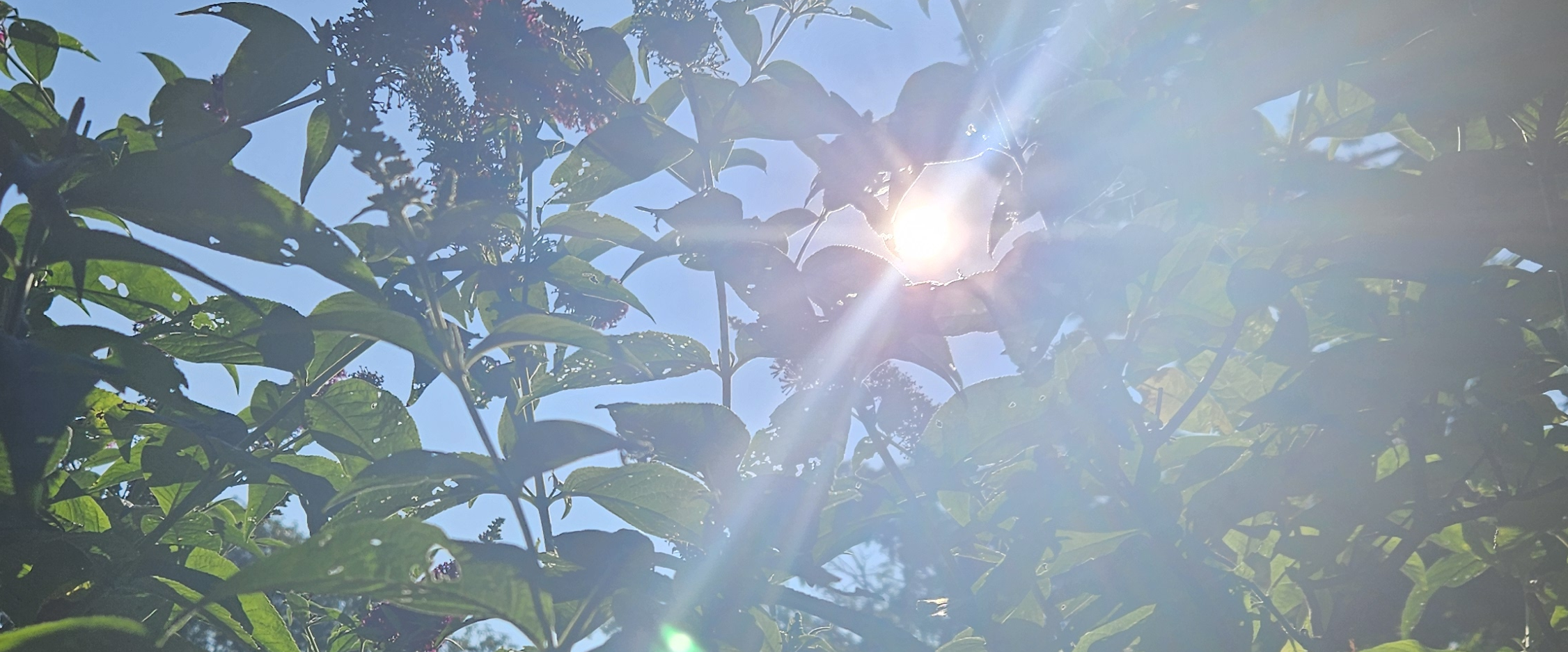 challenge background