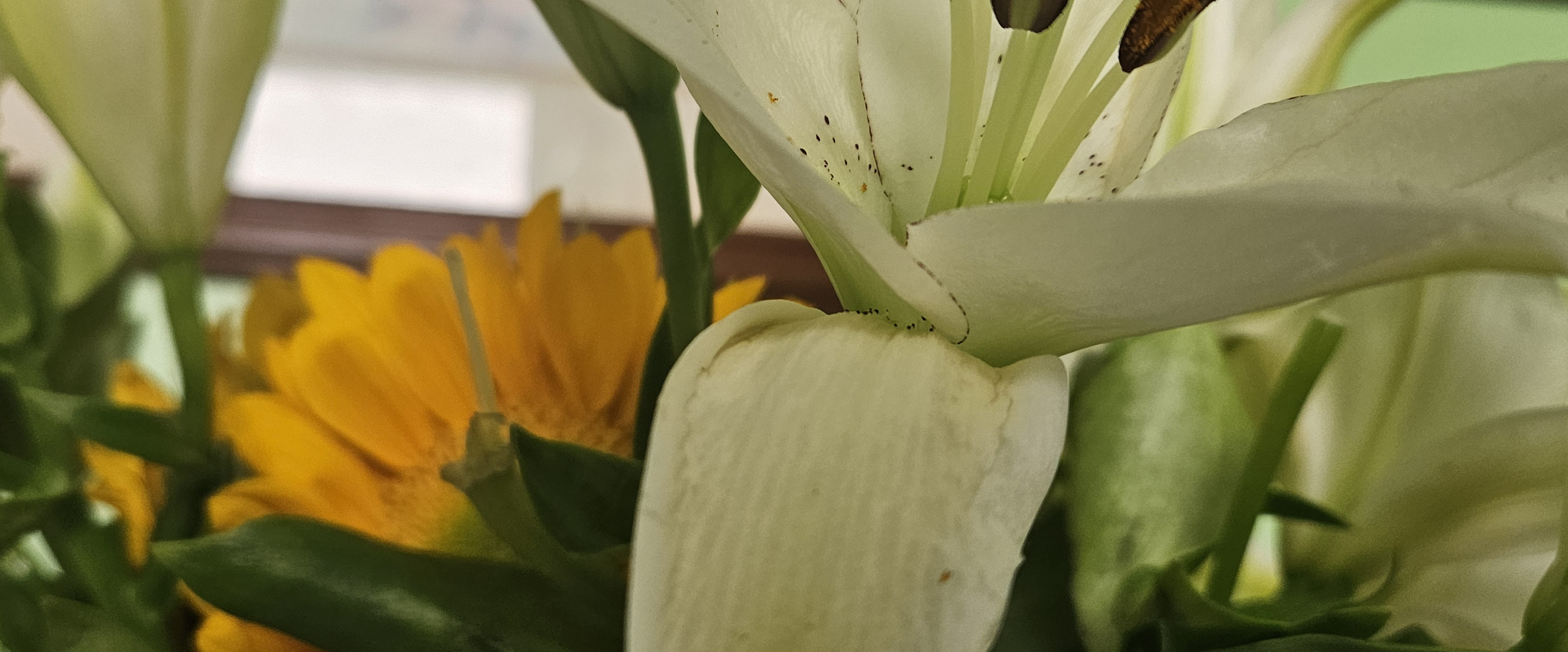 challenge background