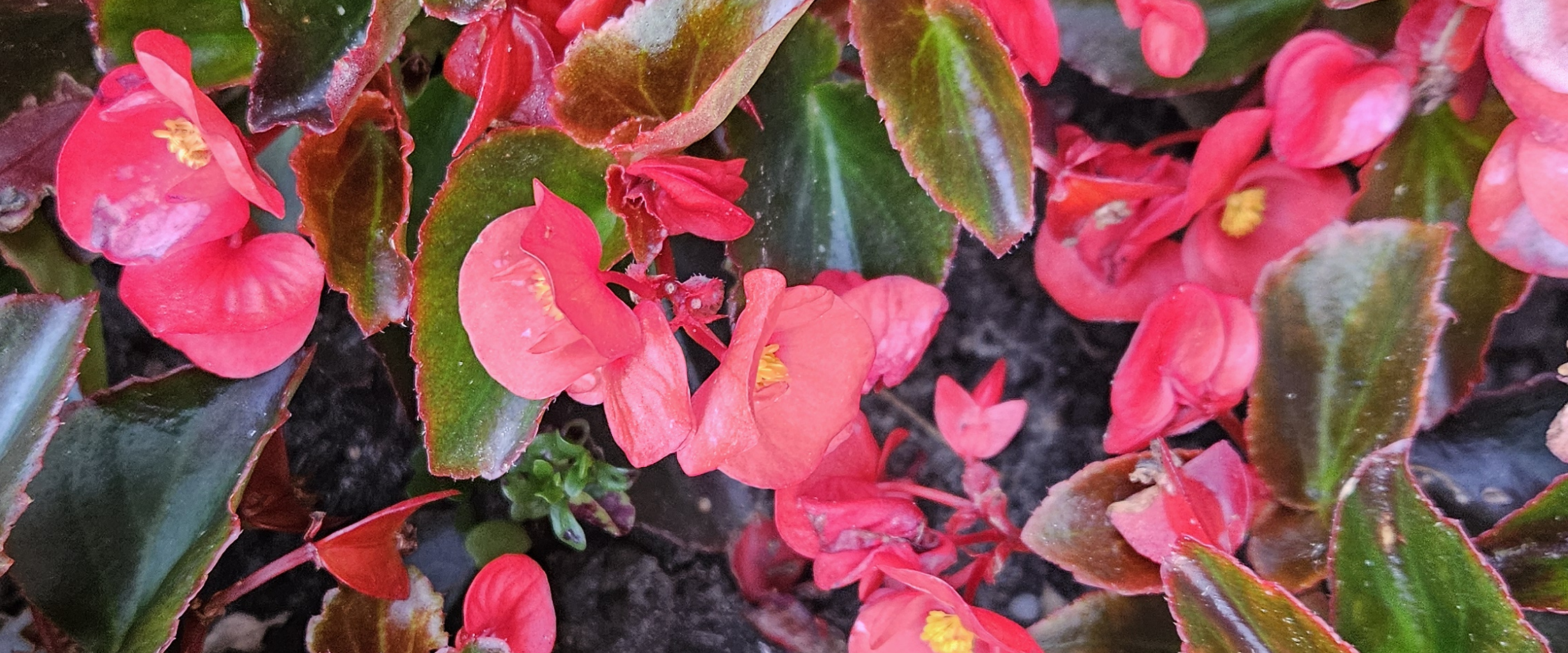 challenge background