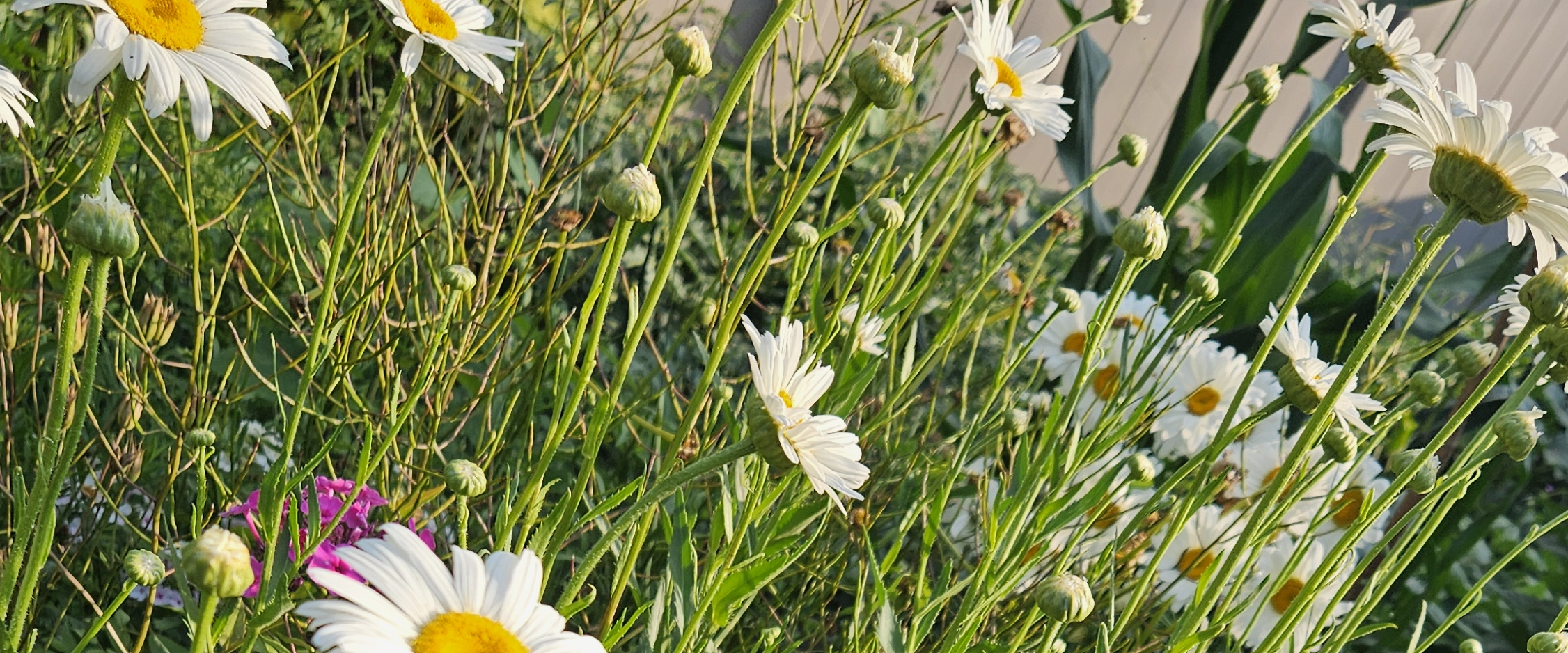 challenge background