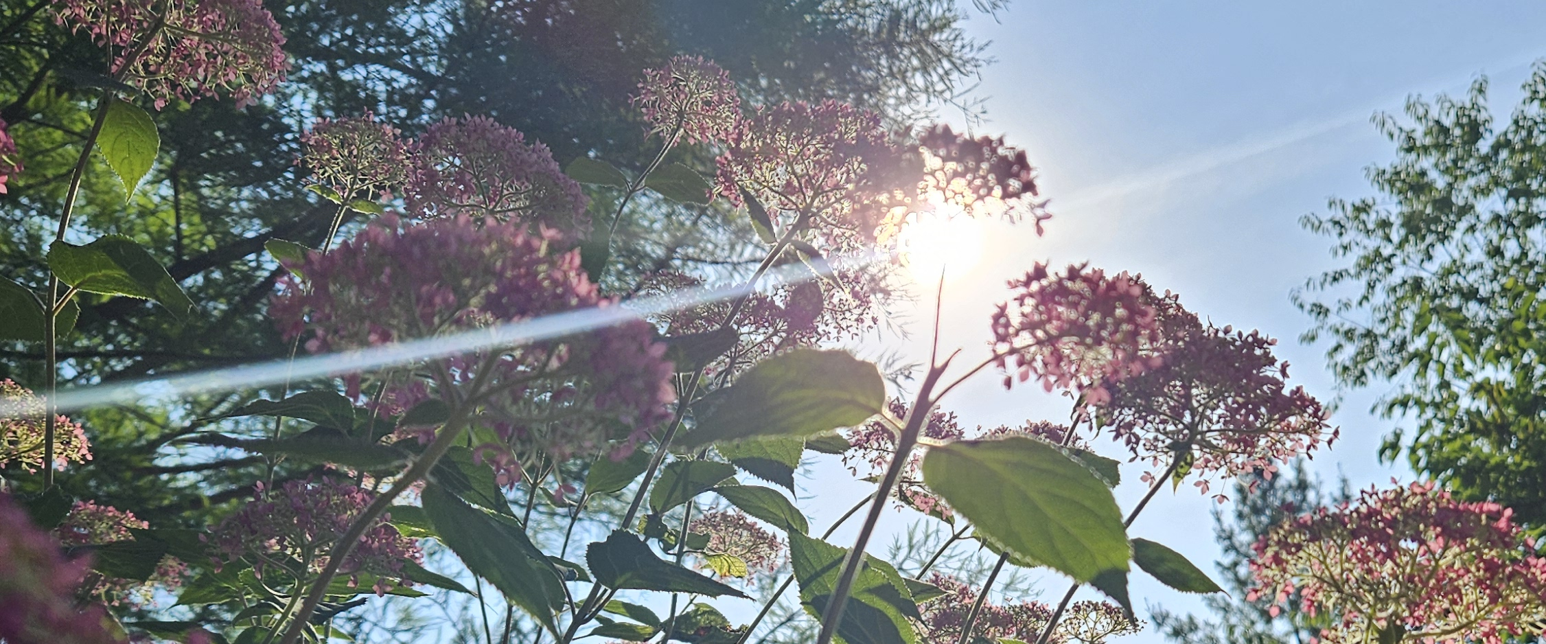 challenge background