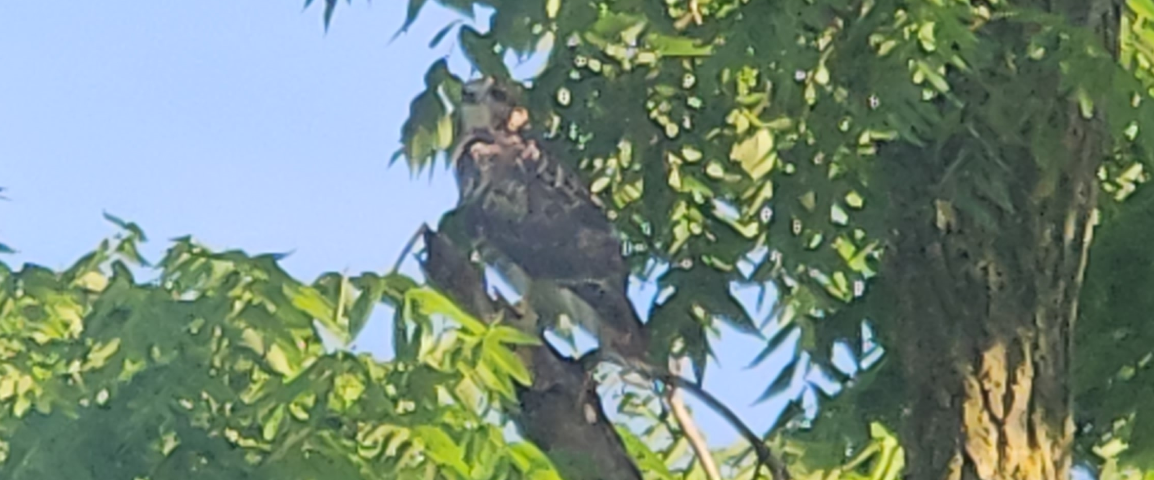 challenge background