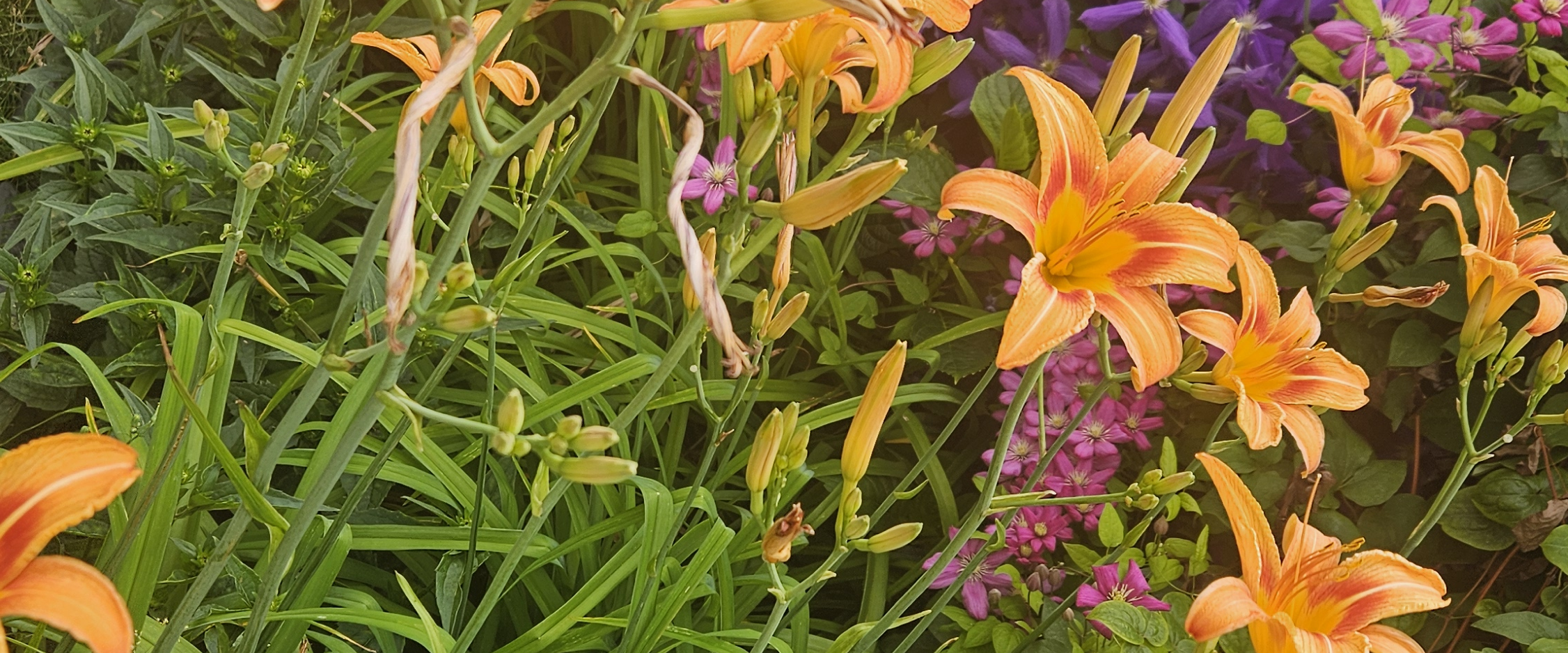 challenge background