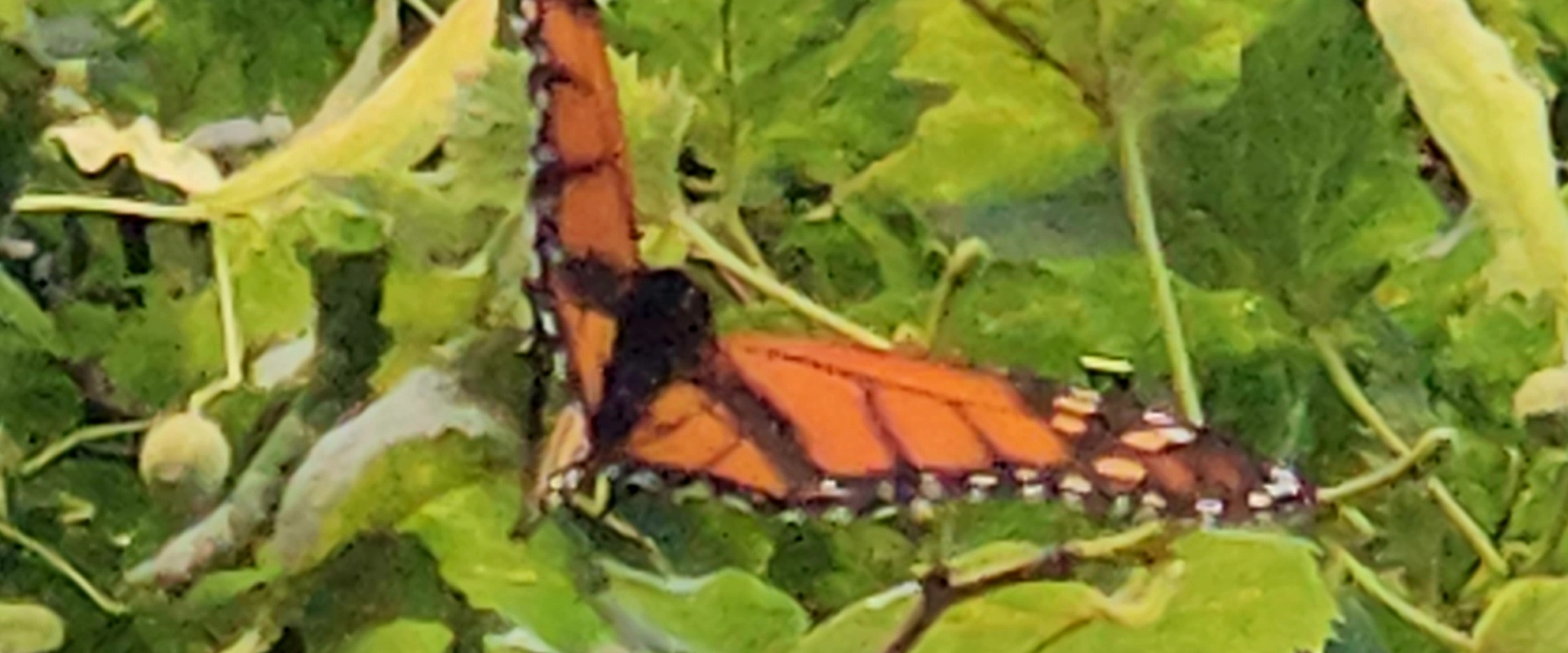 challenge background