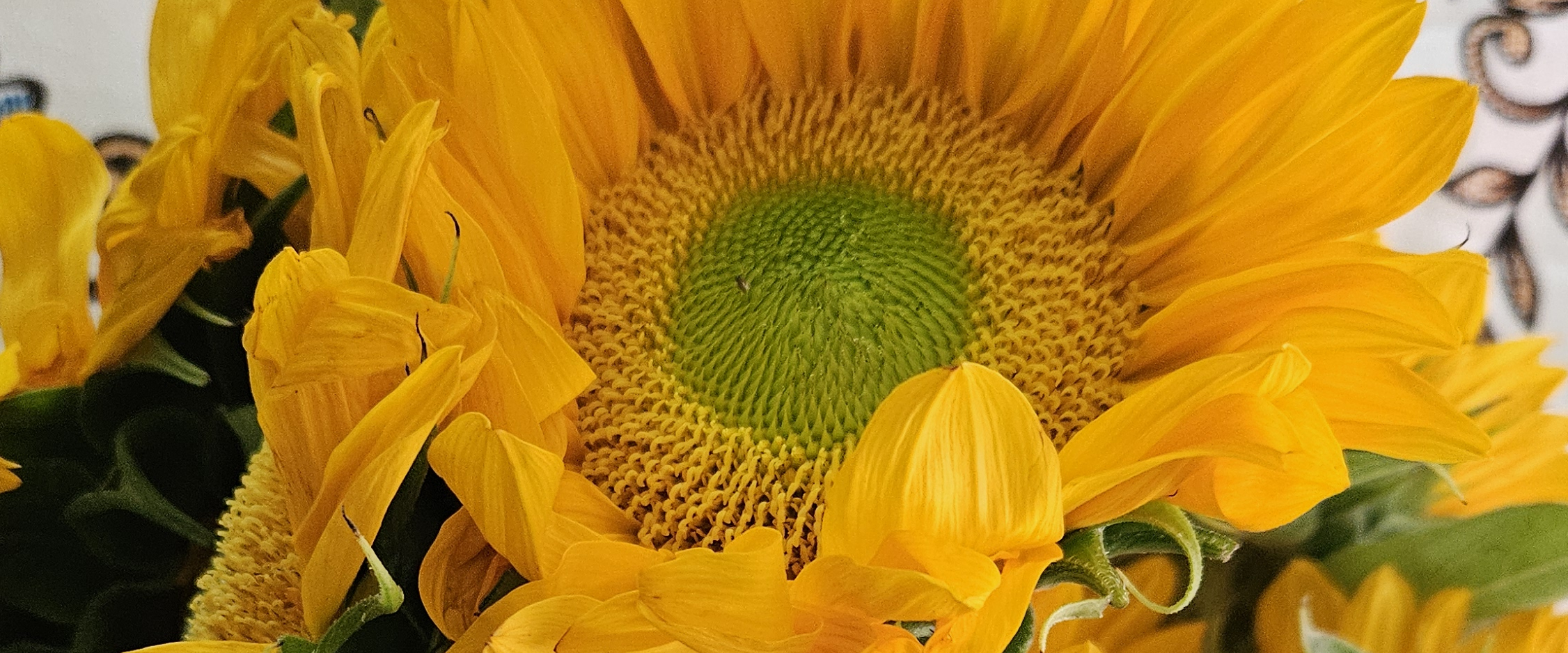 challenge background