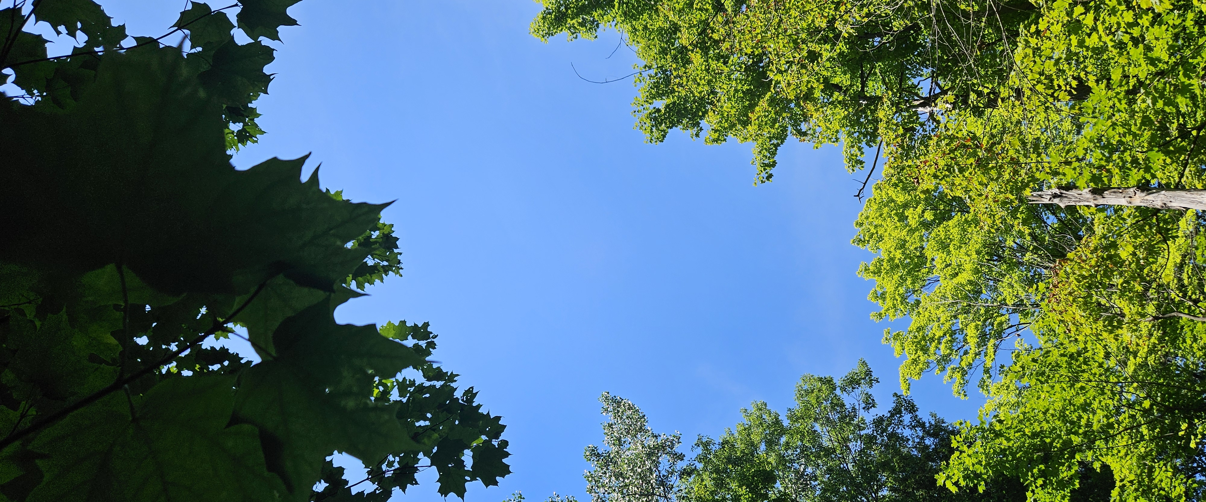 challenge background