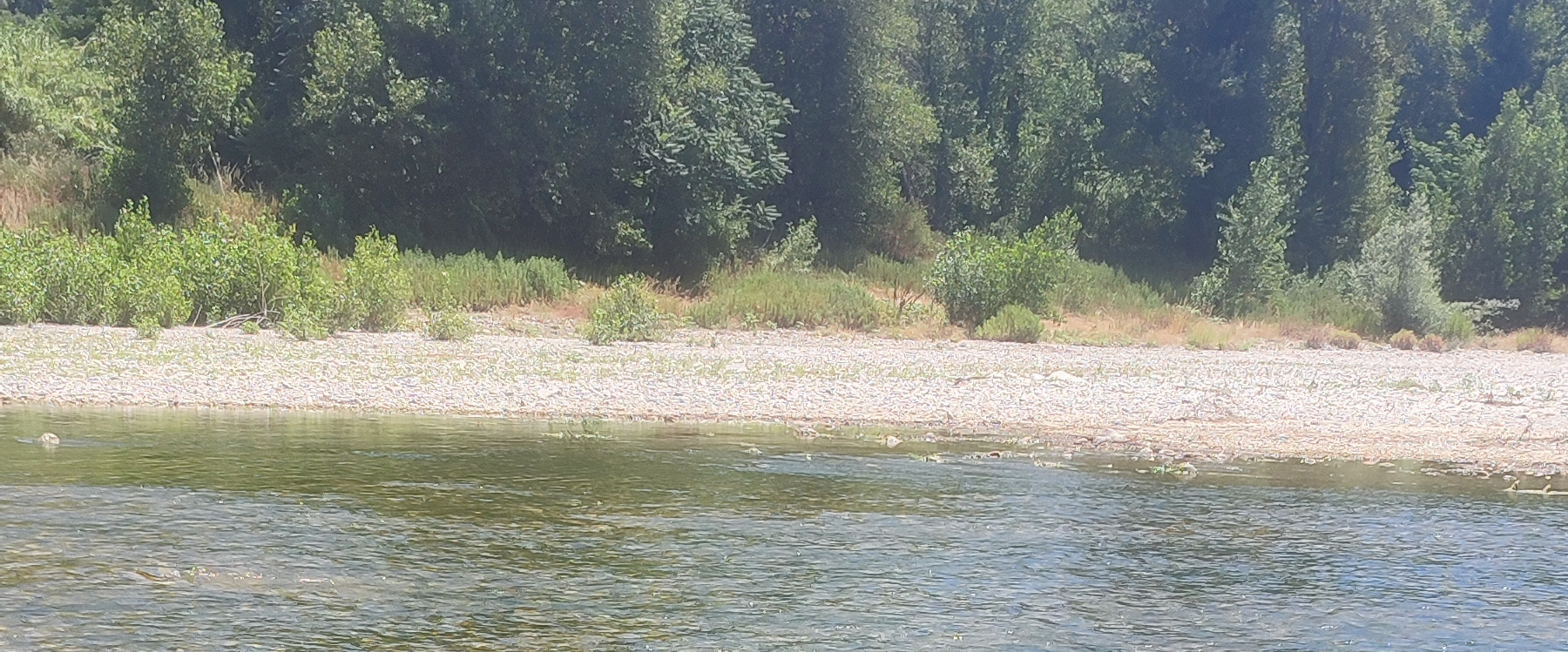 challenge background