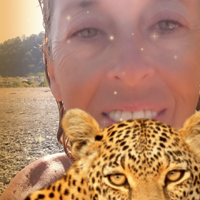 Leo Challenge icon