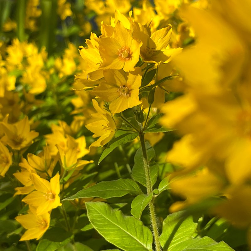 Лето 2025⛱️ logo