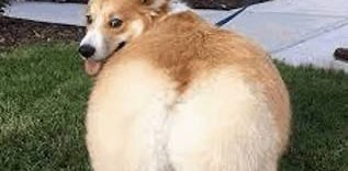 challenge background