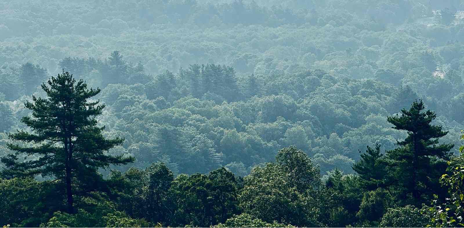 challenge background