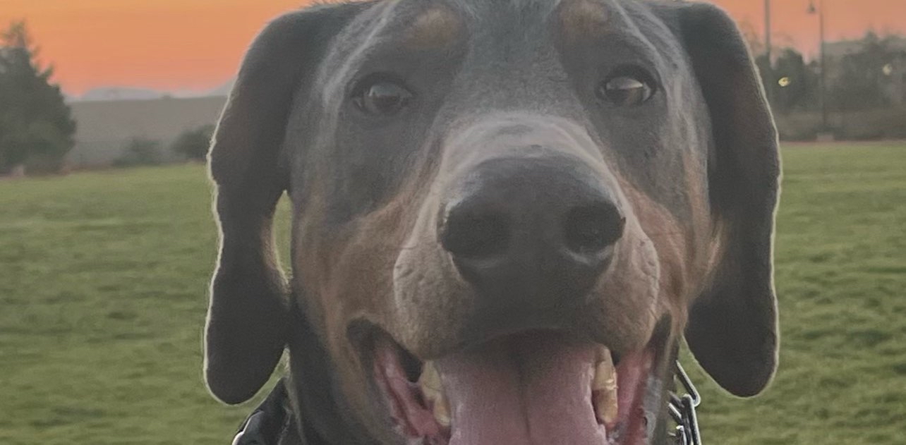 challenge background