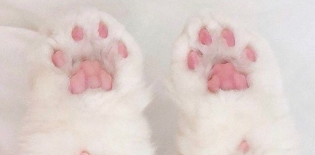 challenge background