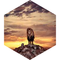 🦁 CHALLENGE AOÛT 10 000 🦁 icon
