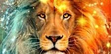 ๐ฆ 3000 ๐ฆ ZODIAQUE du LION ๐ฆ logo