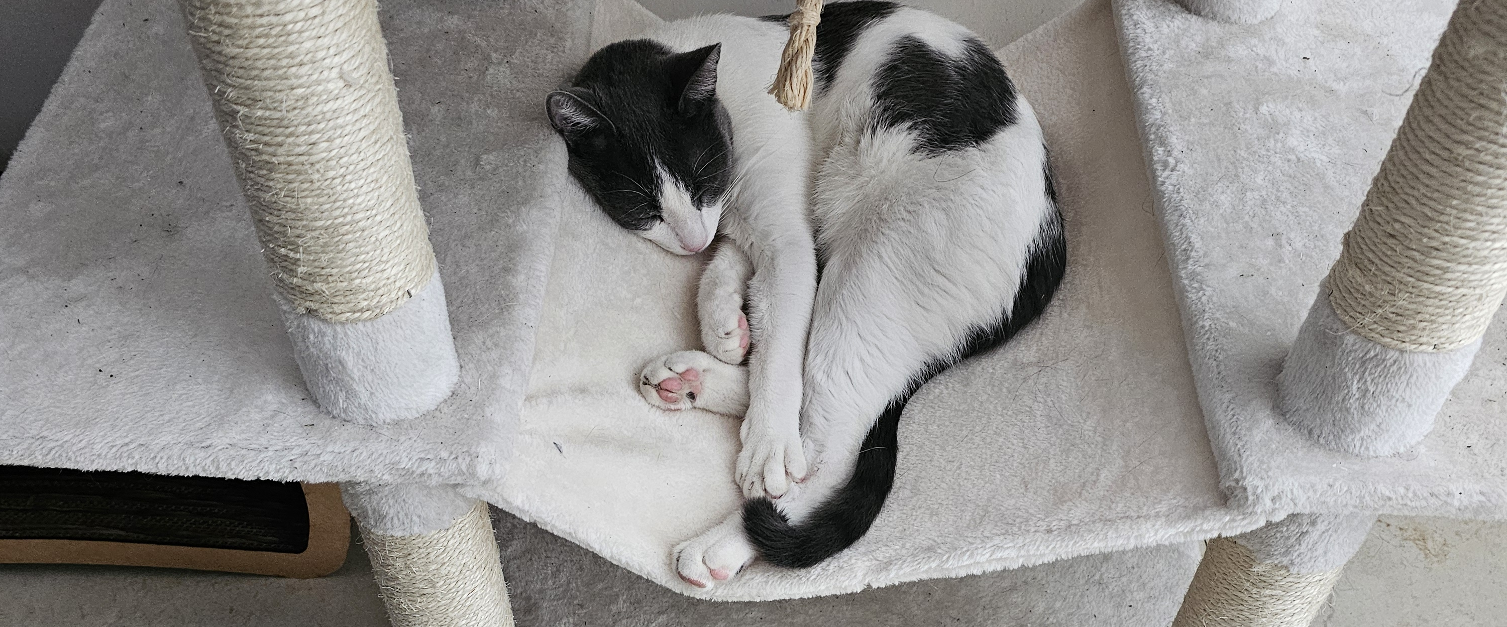 challenge background