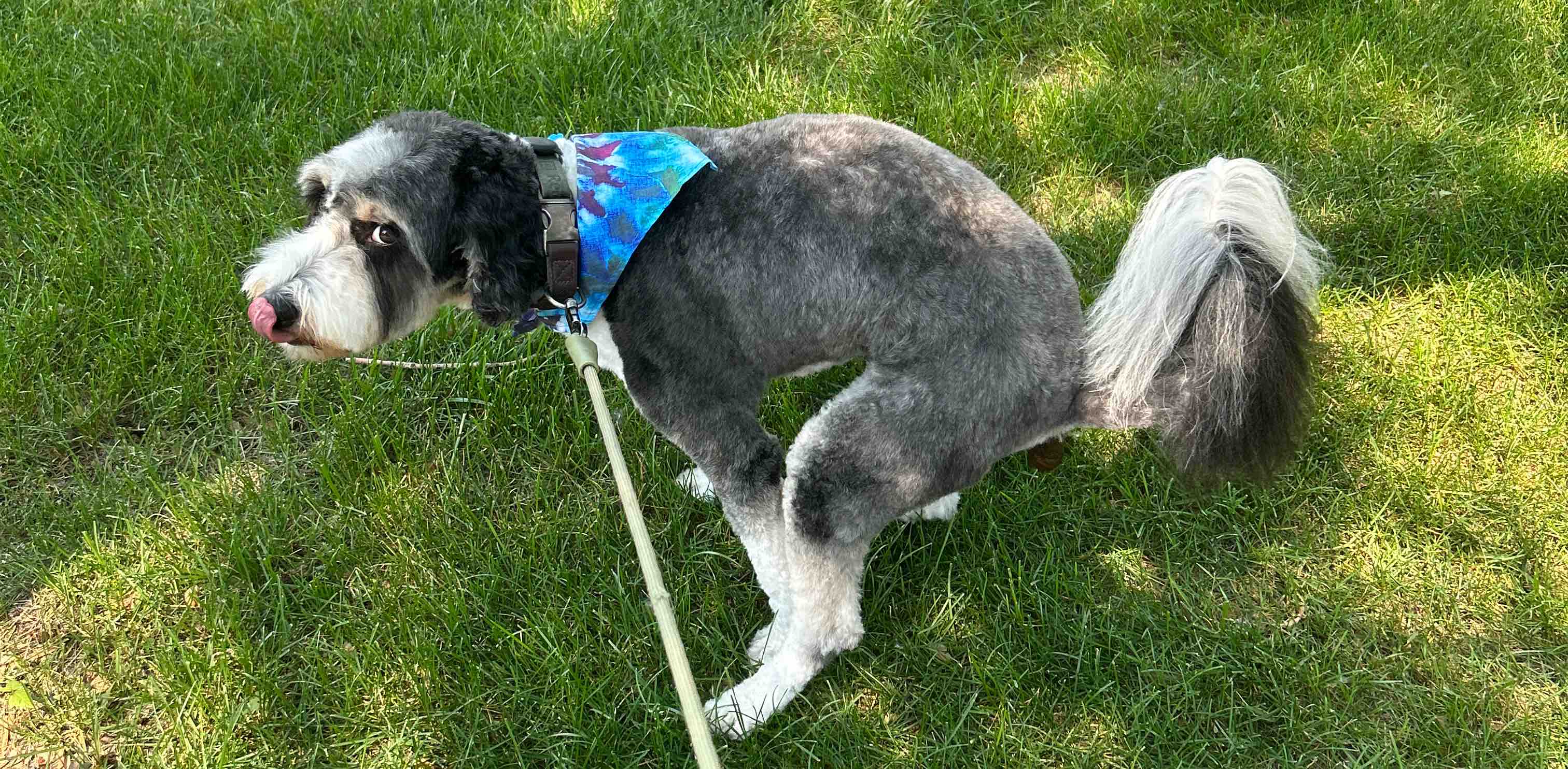 challenge background