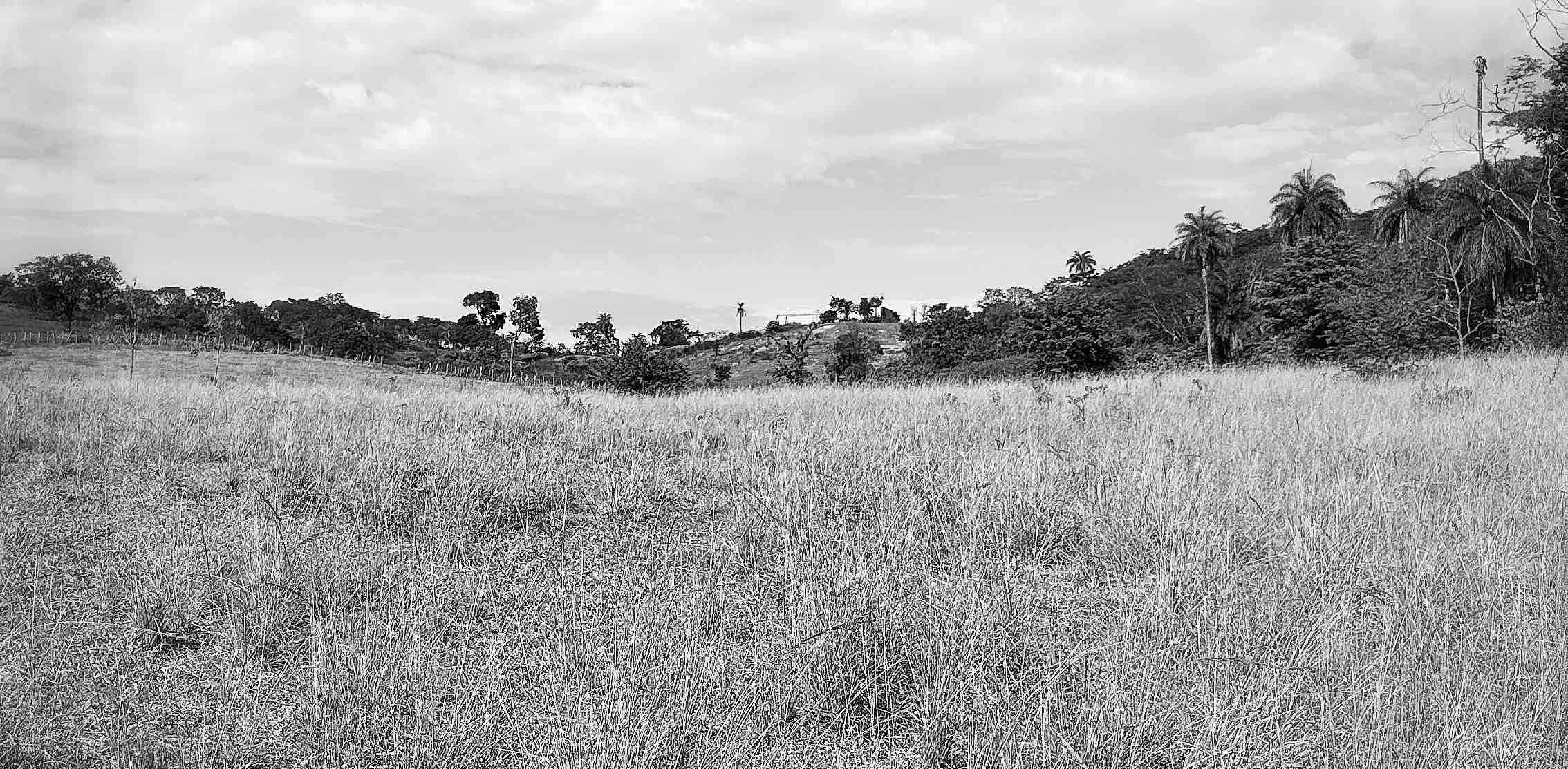 challenge background