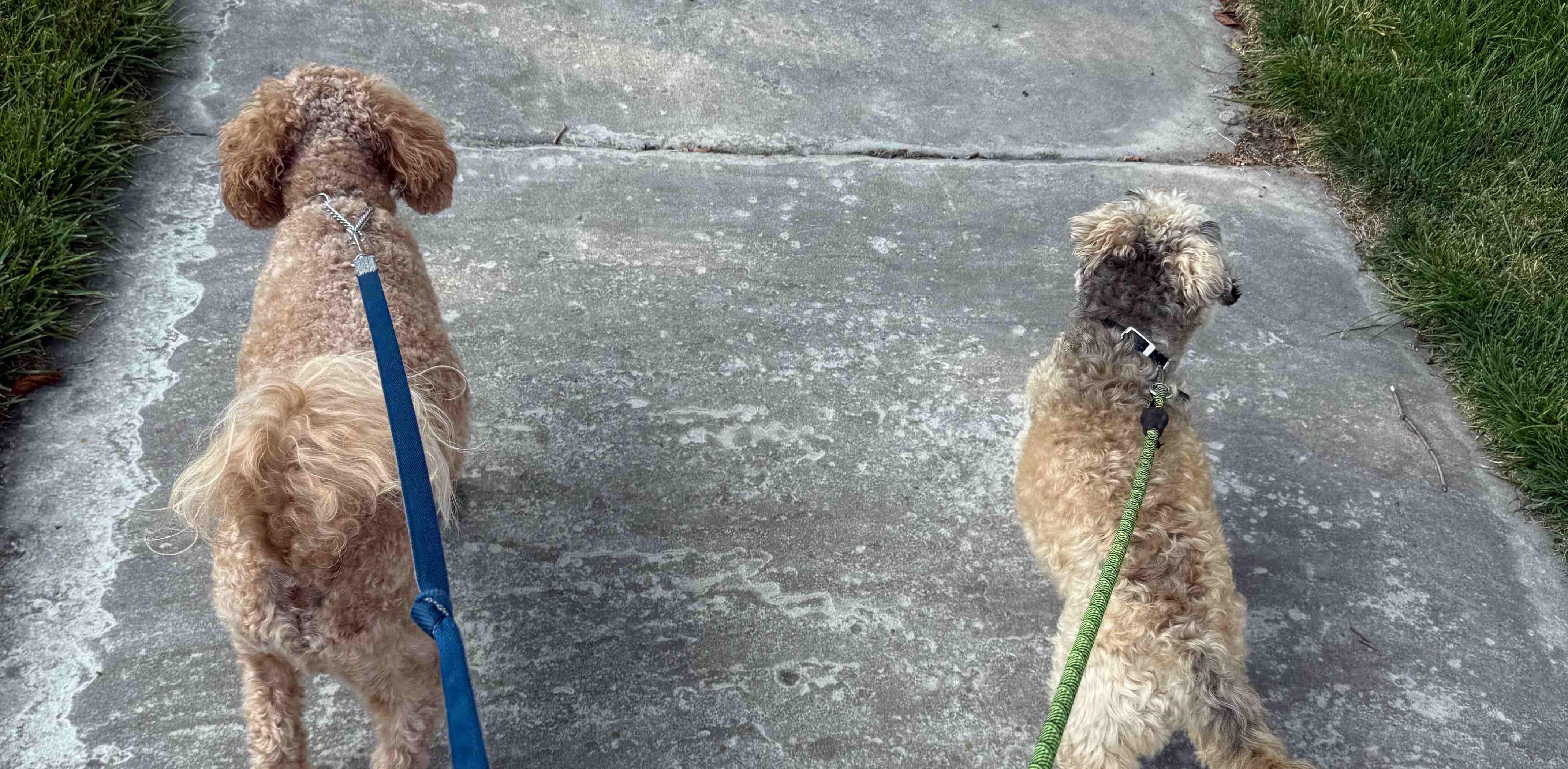 challenge background