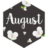 August Marathon Step Estimate Daily Points icon