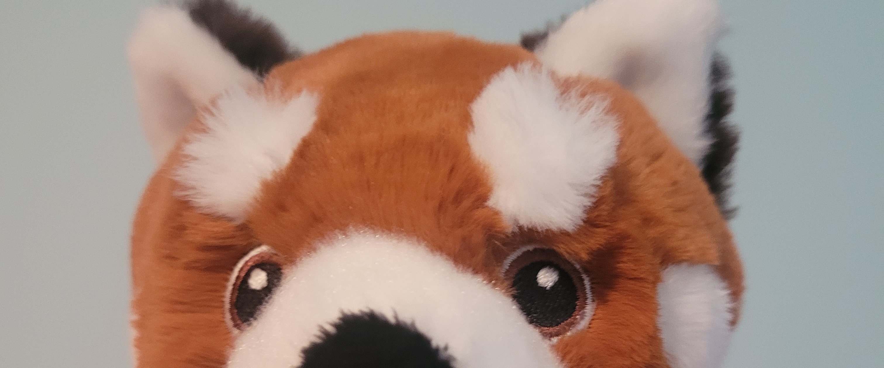 challenge background