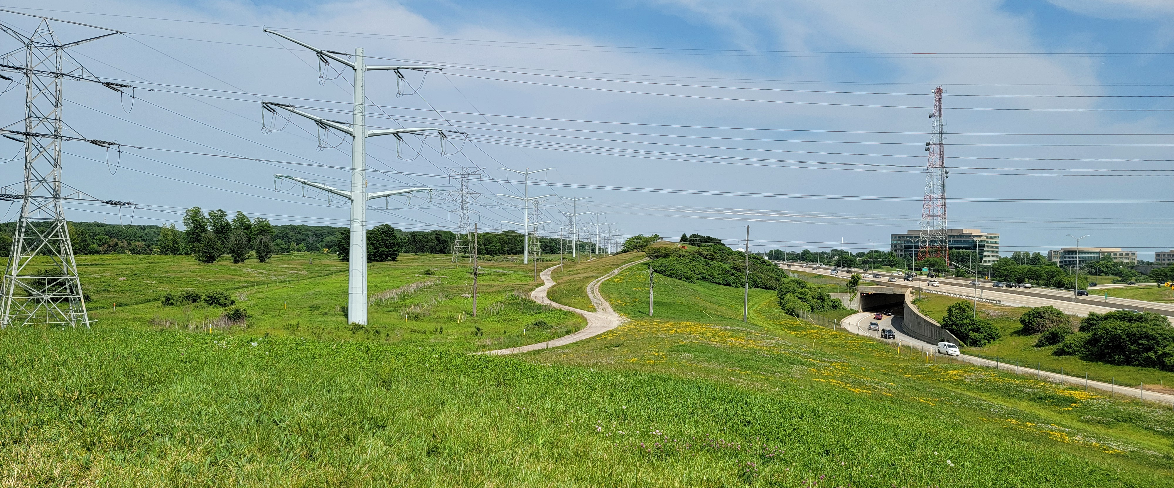 challenge background