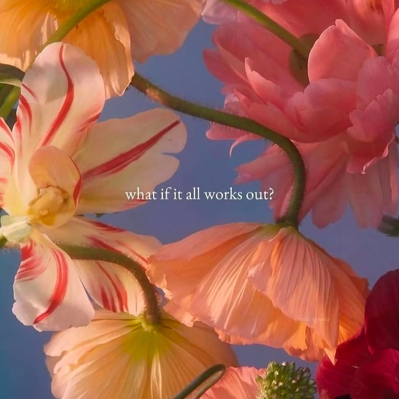 Chronic illness or Depression logo