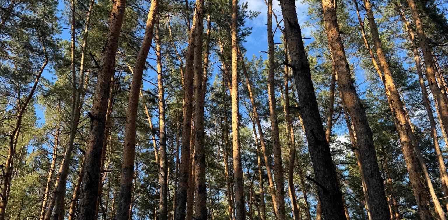 challenge background