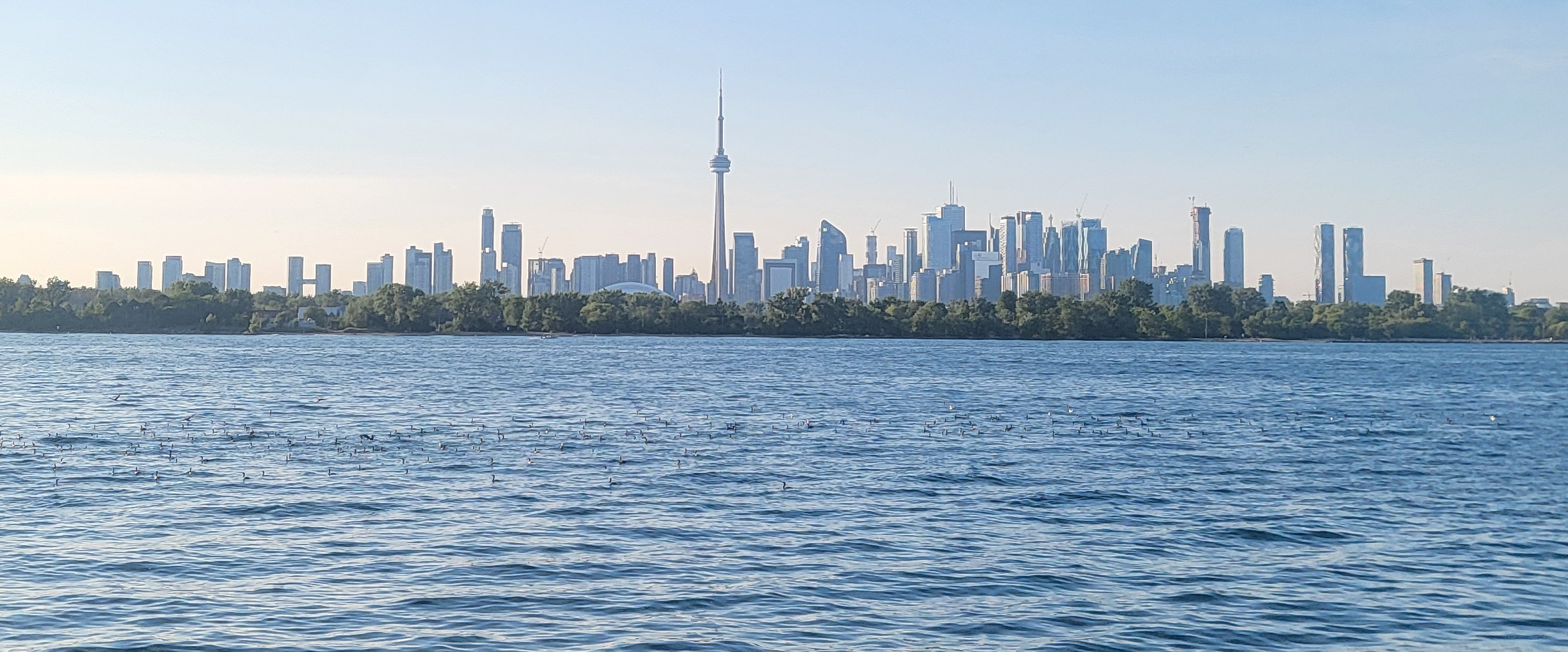 challenge background